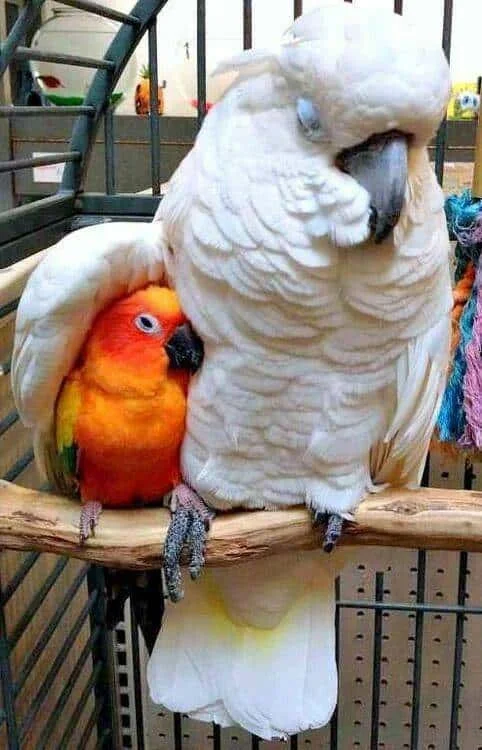 daily_picdump-37-2.webp