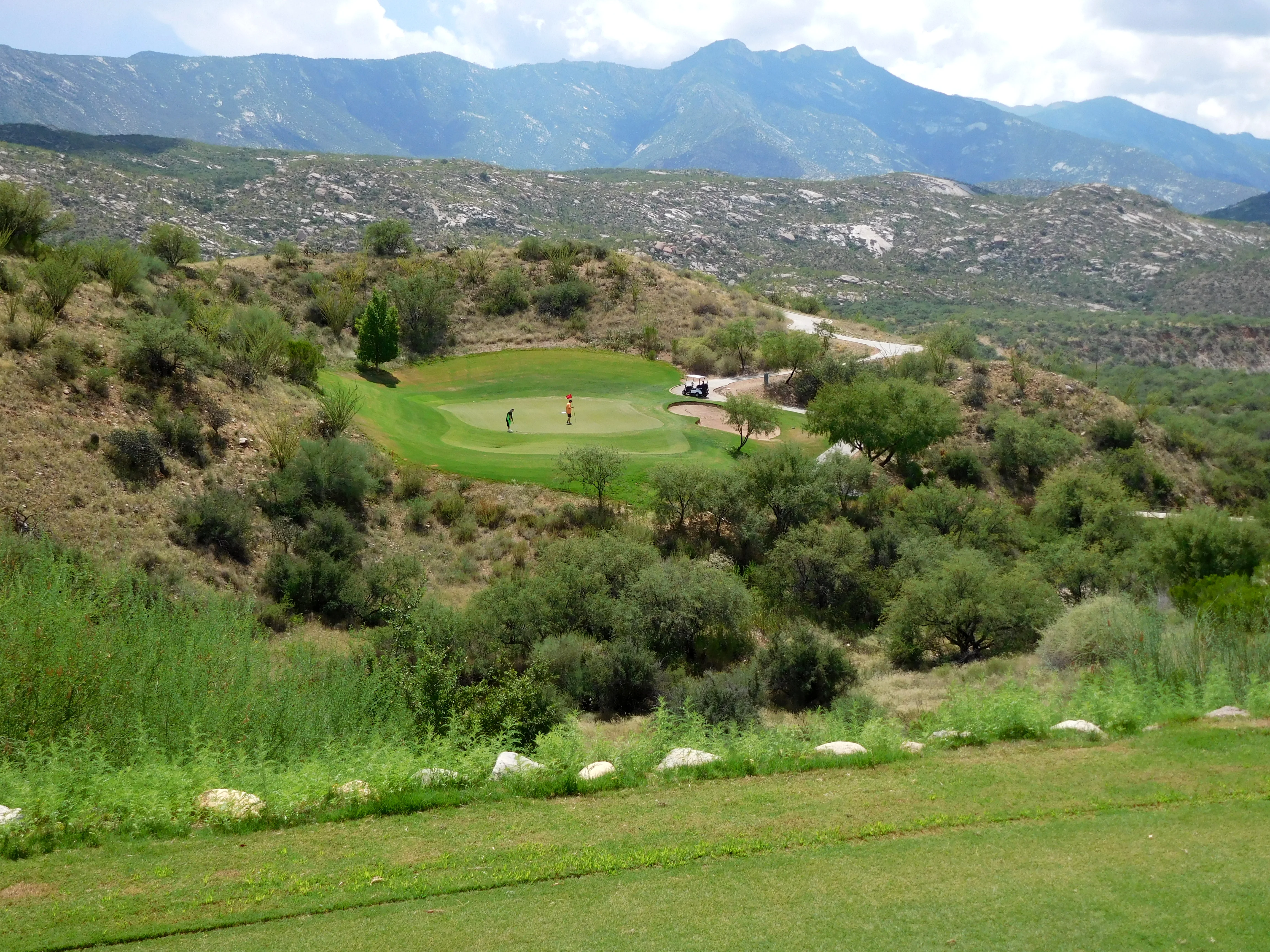 DSCN0009.webp