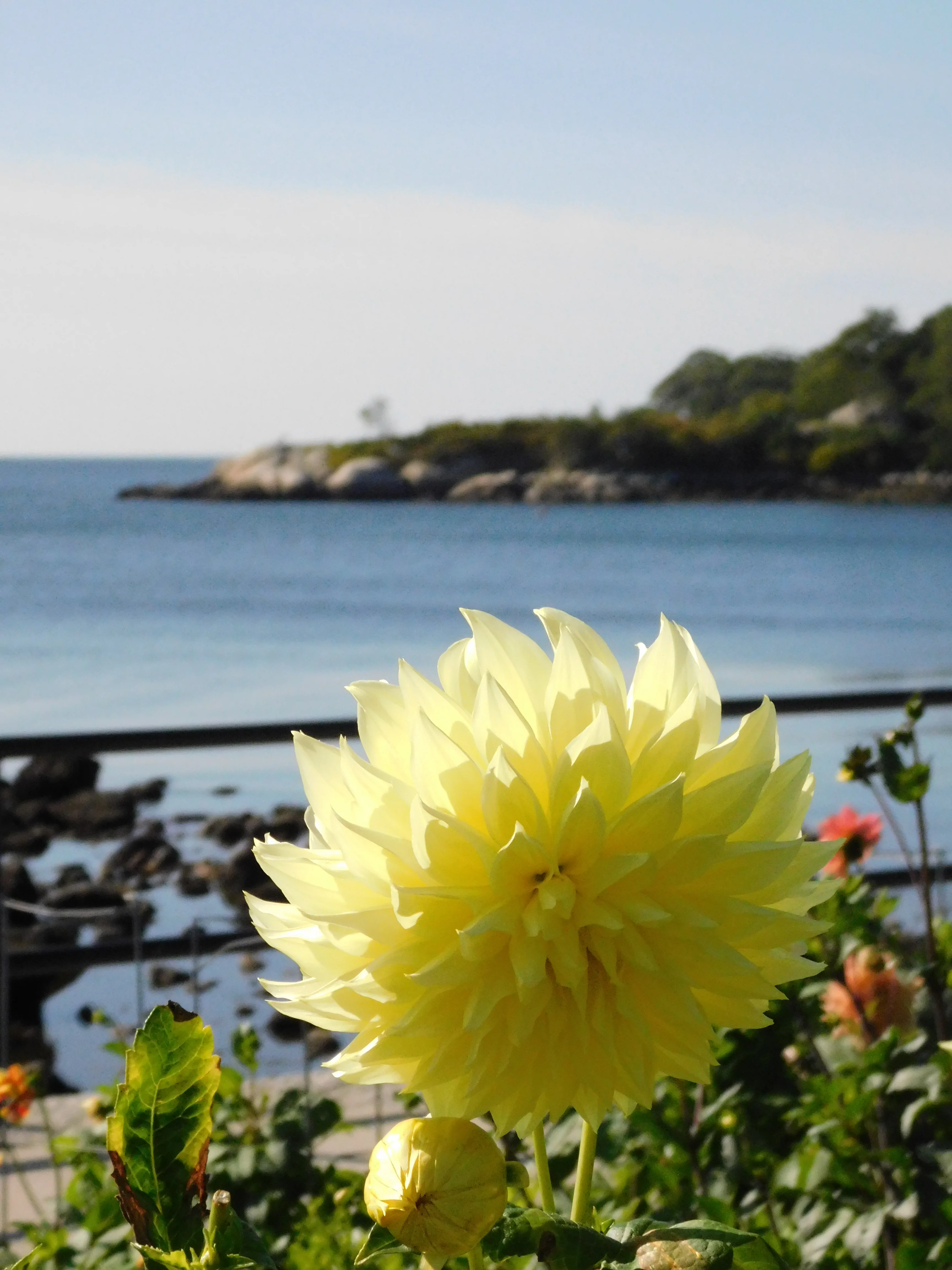 DSCN5662.webp