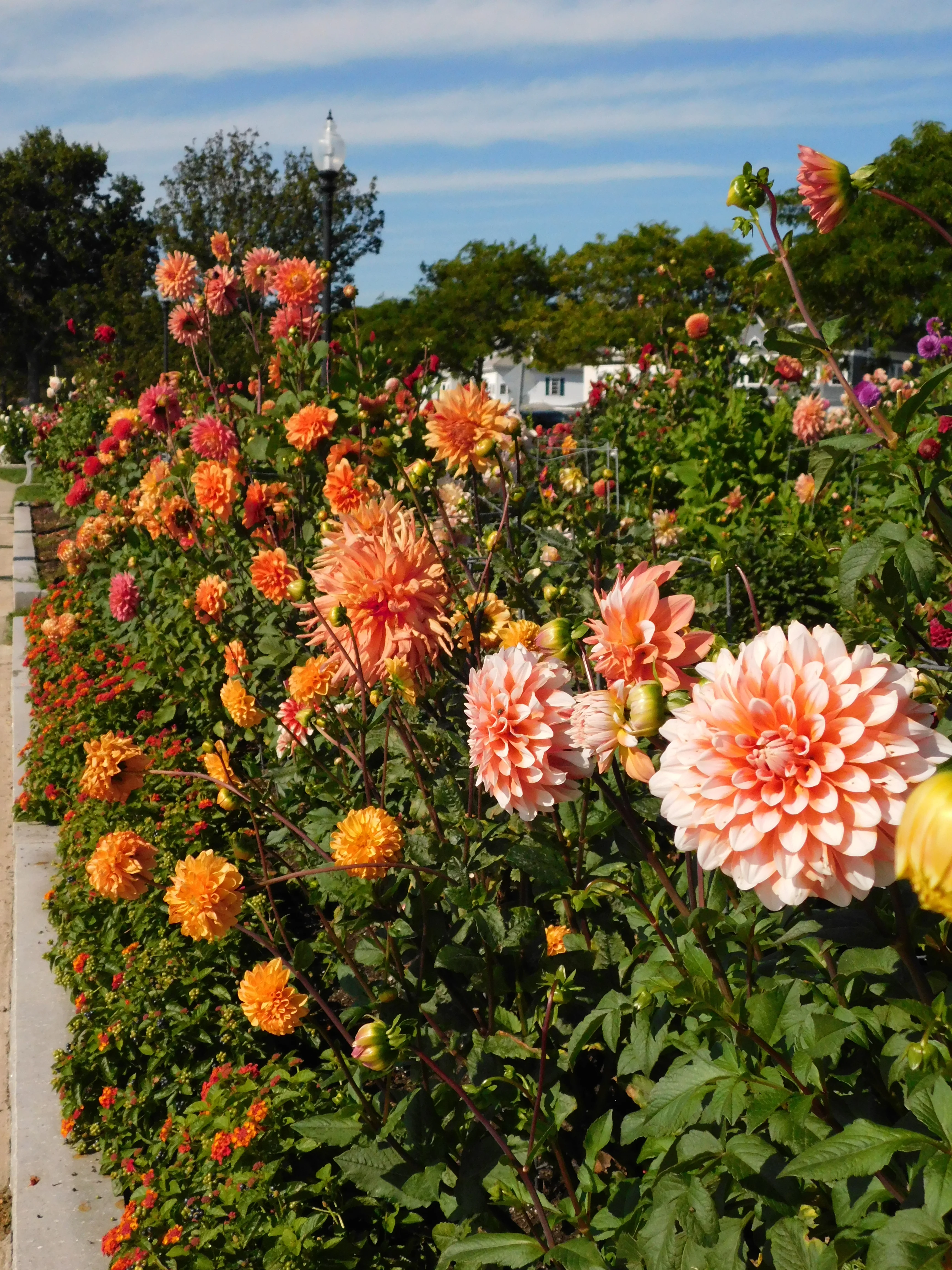 DSCN5673.webp