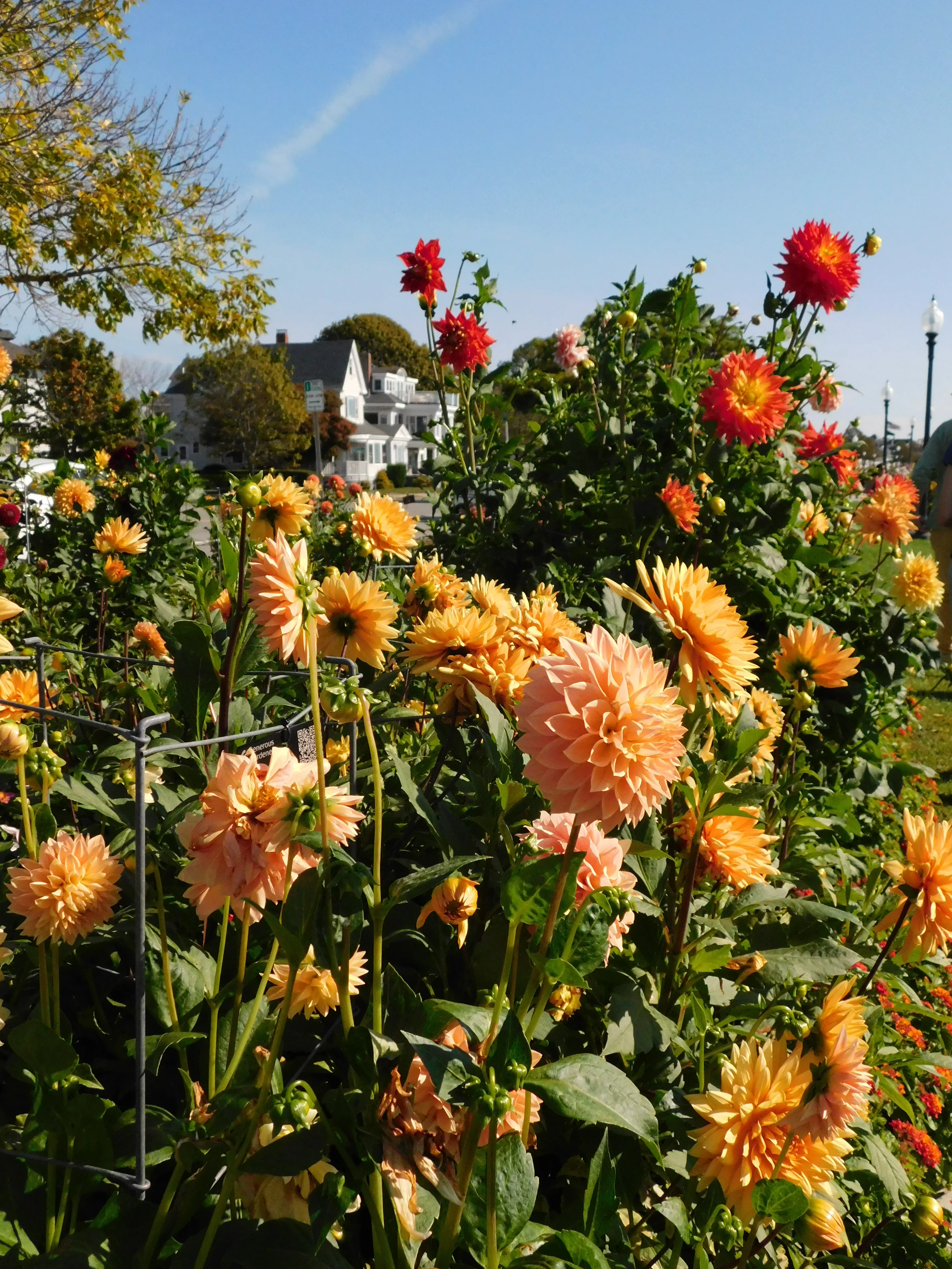 DSCN5677.webp