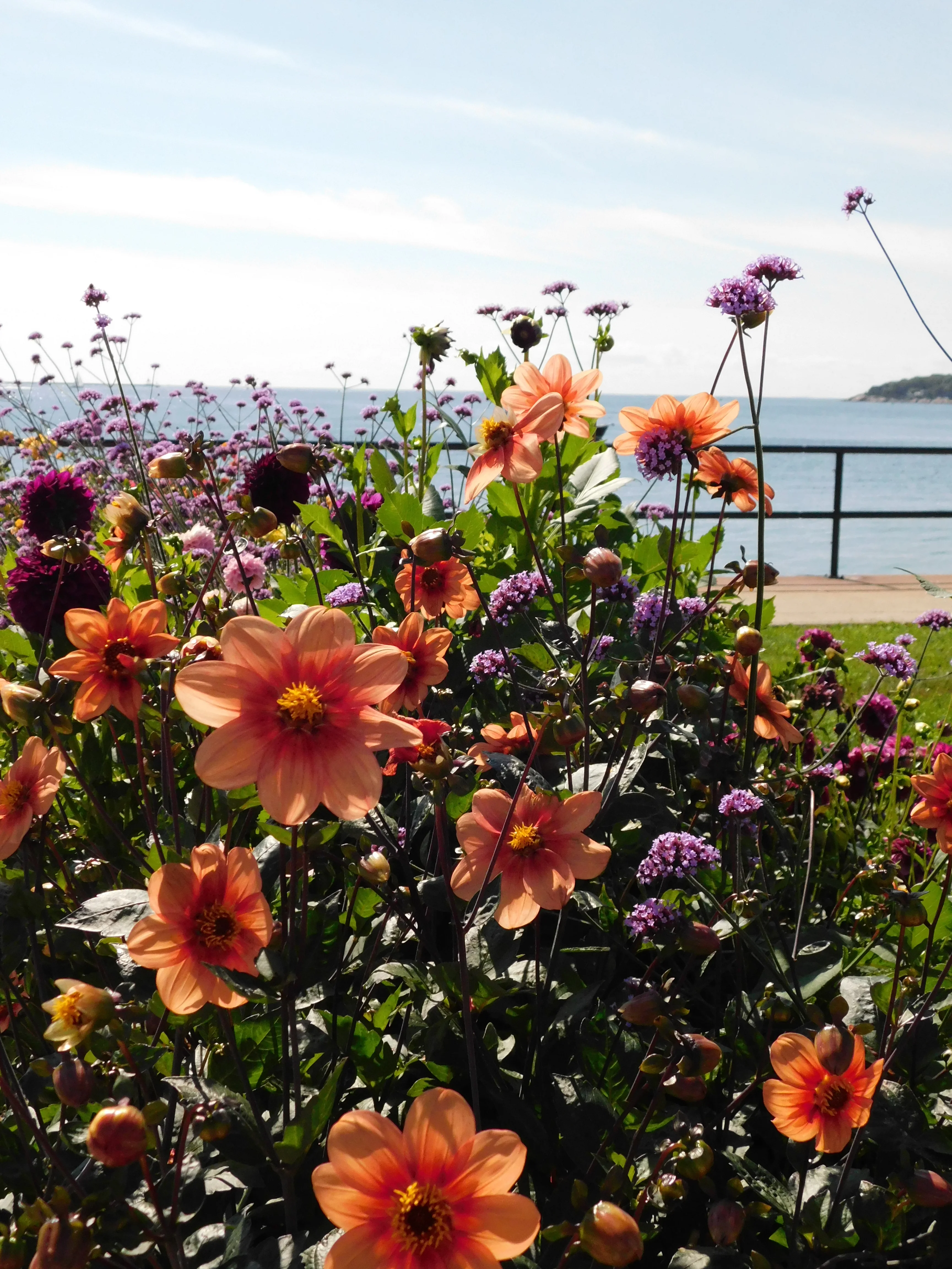 DSCN5688.webp