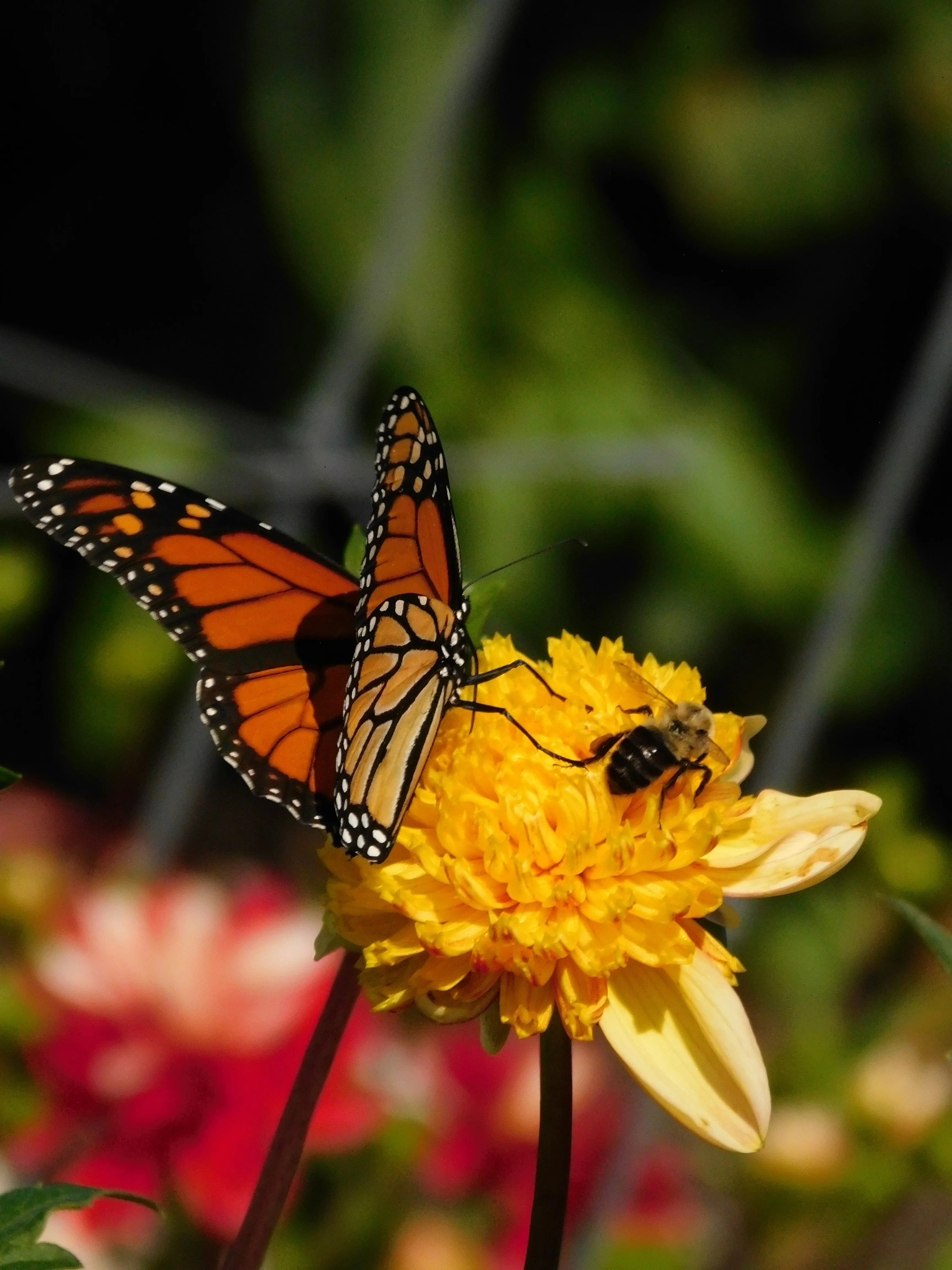 DSCN5721.webp