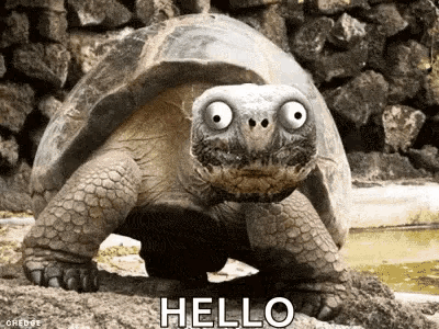 e932392d3181.gif