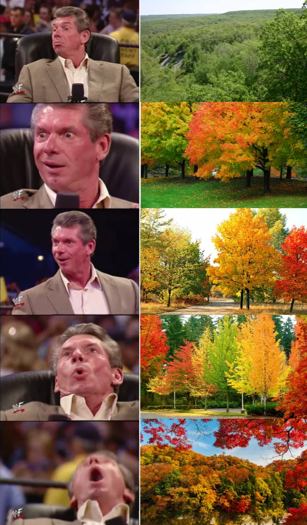 Fall-is-the-best-season.webp