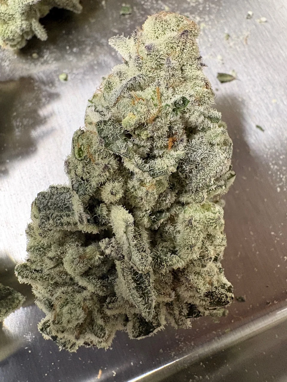 freeze-dried-cannabis-closeup.webp