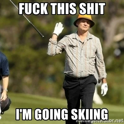 fuck-this-shit-im-going-skiing.webp