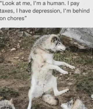 IhjA0HBAac6A.webp