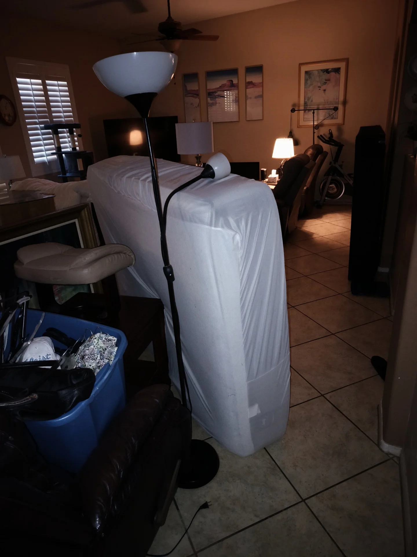 image (50).webp