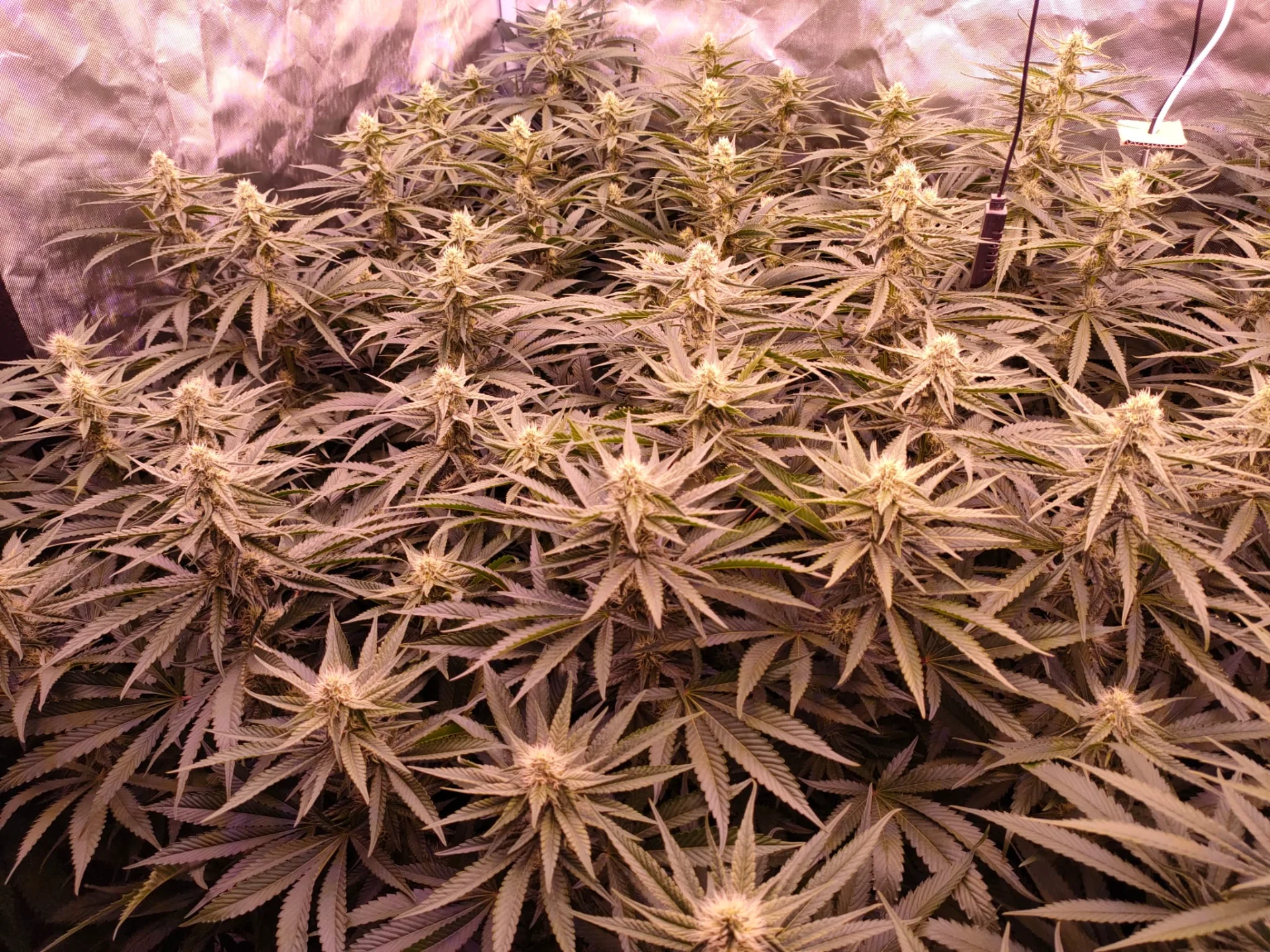 IMG-20260901-WA0004.webp