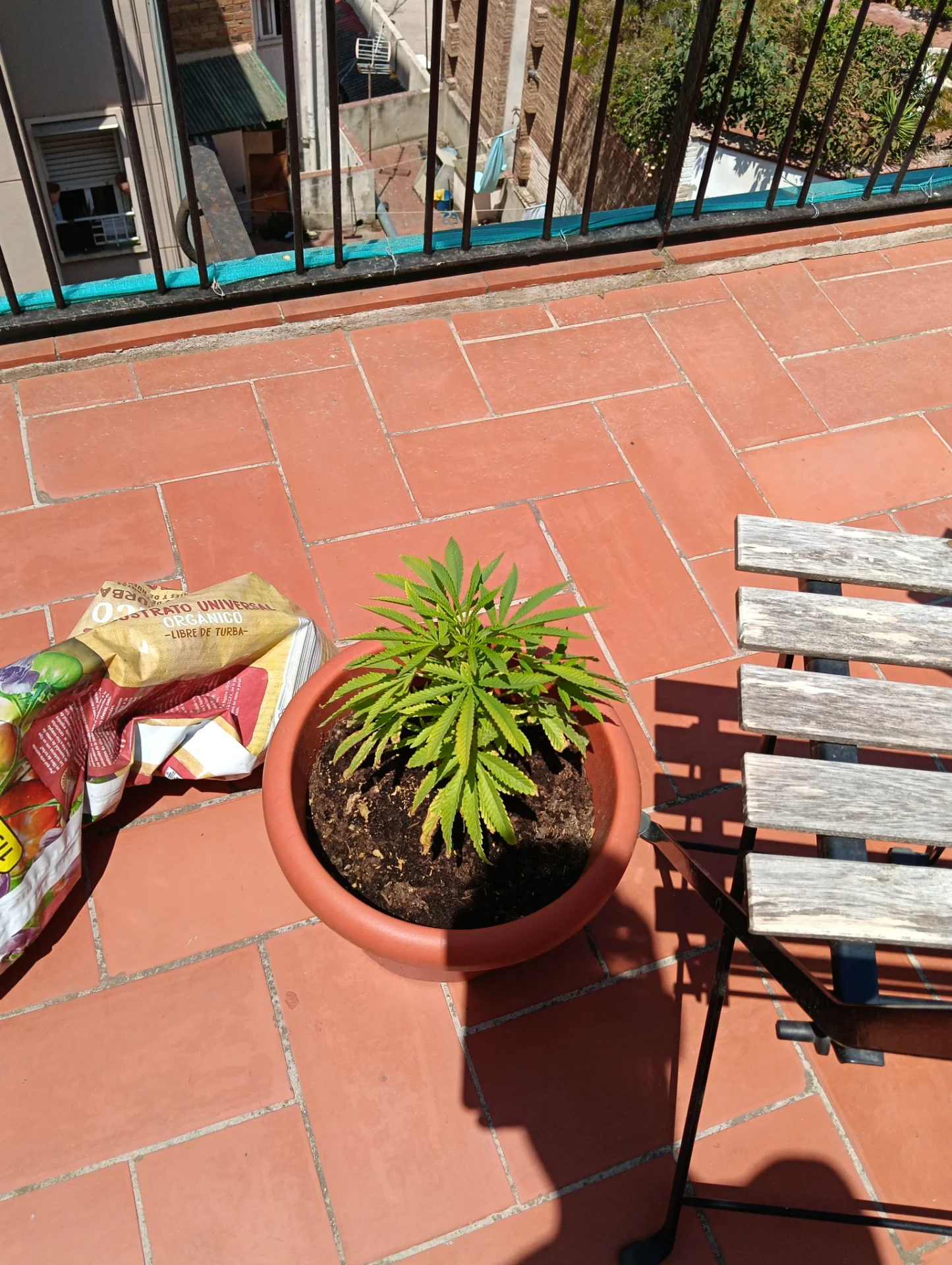 IMG20260730135857.webp