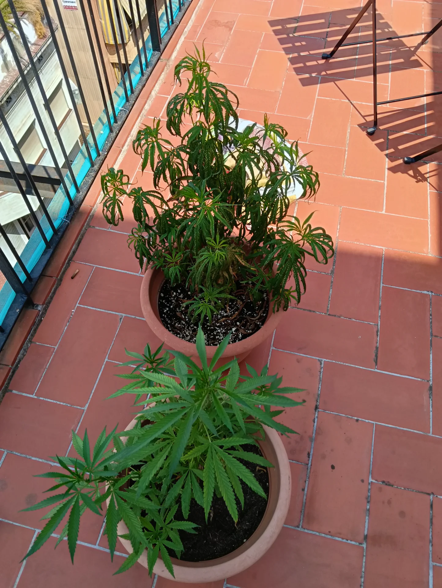 IMG20260821141203.webp