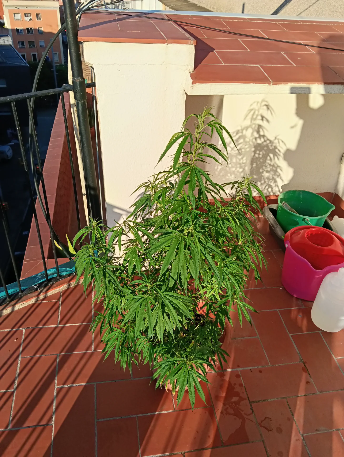 IMG20260913184952.webp