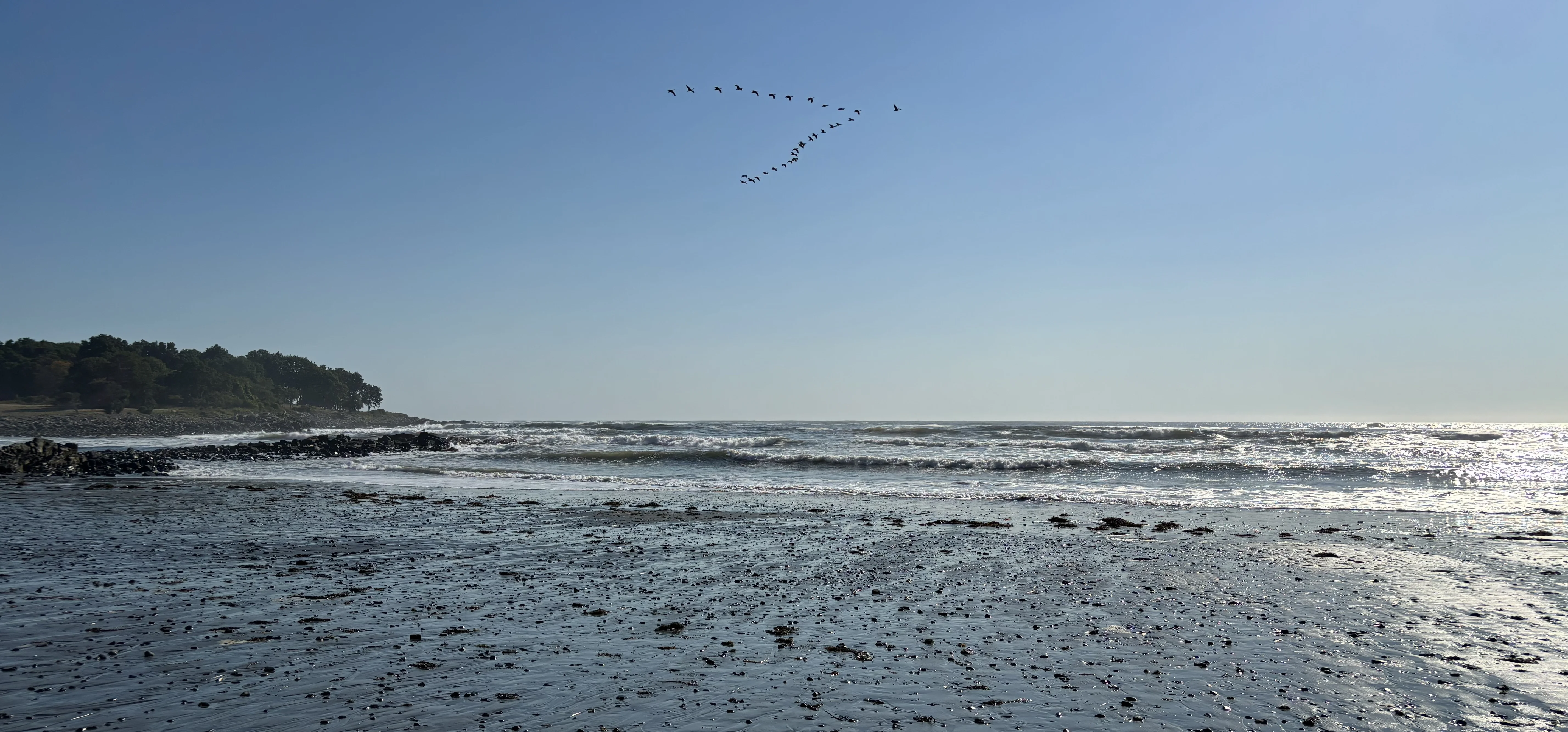 IMG_0135.webp