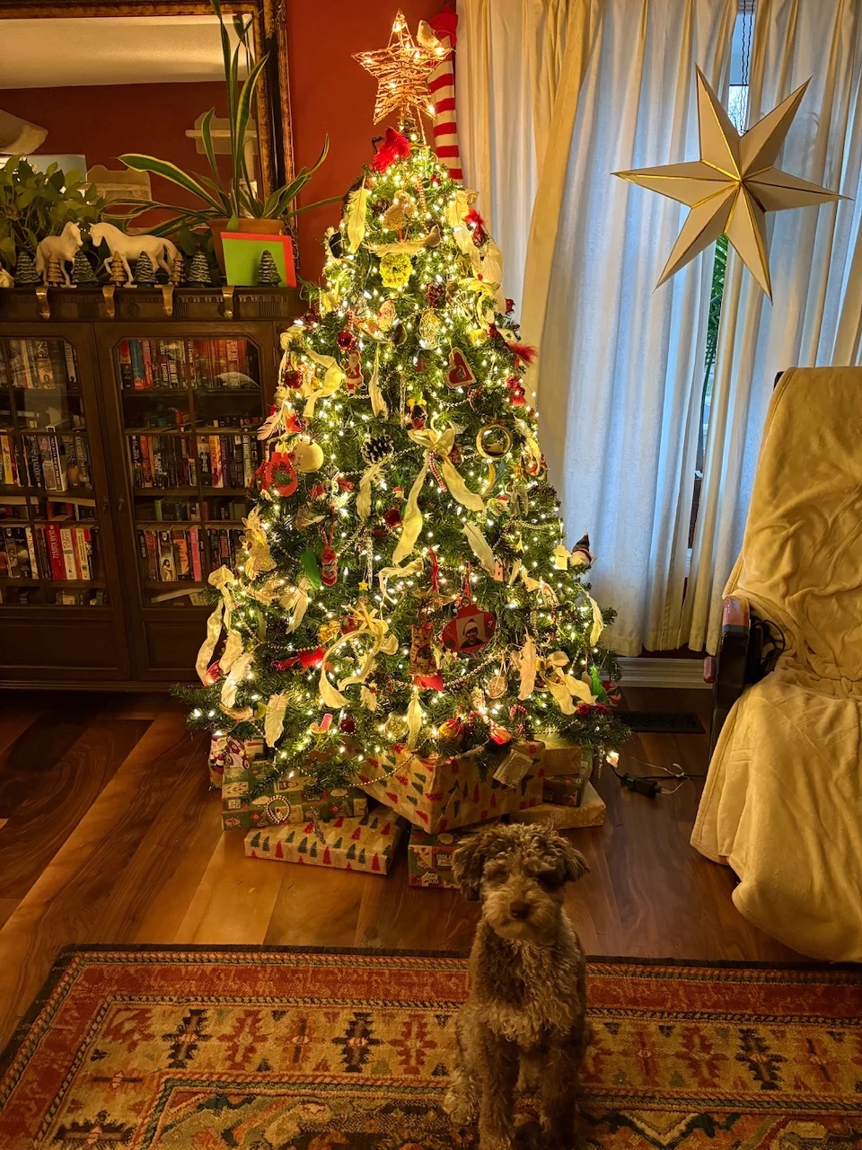 IMG_0335.webp