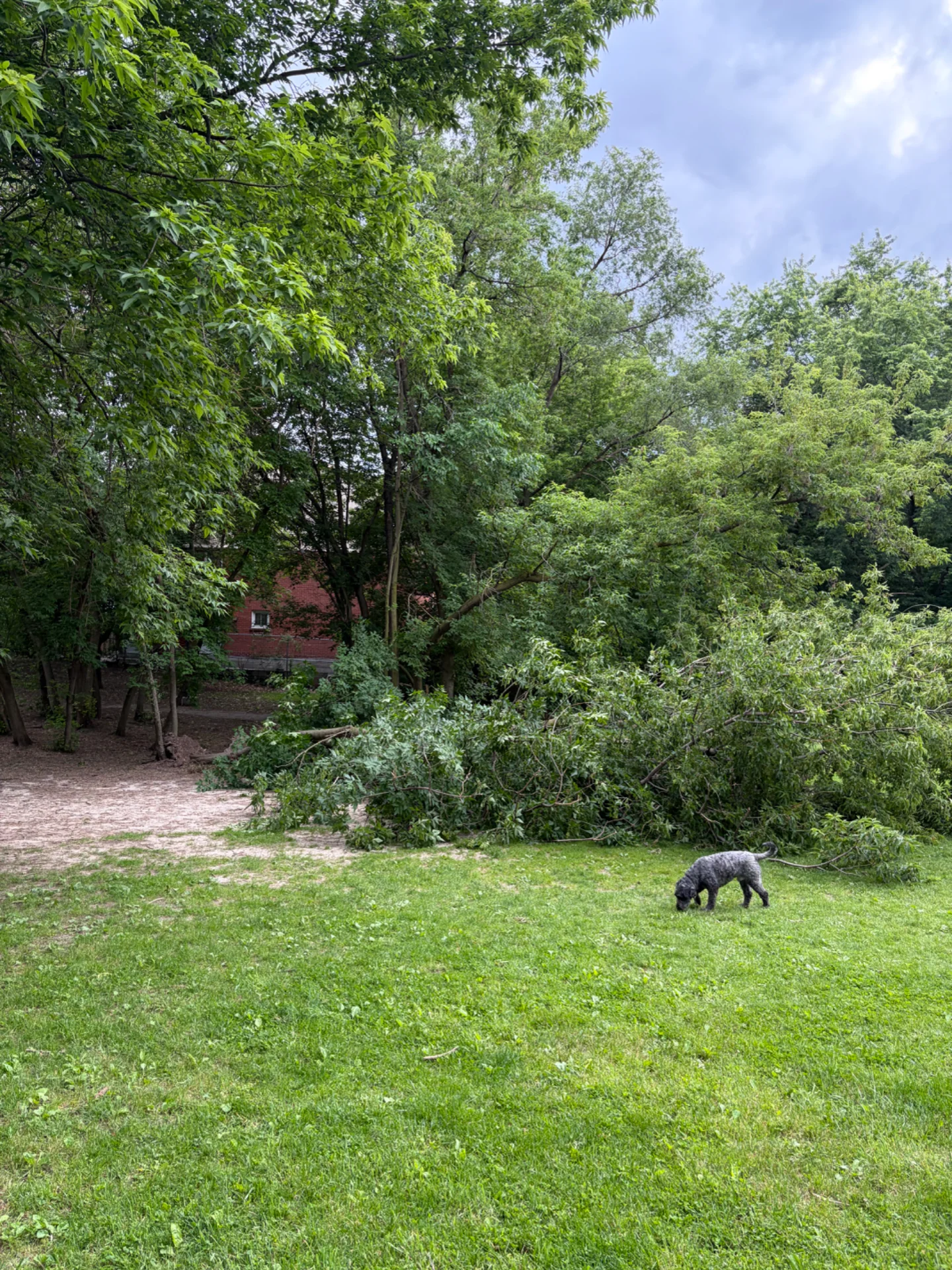 IMG_0446.webp