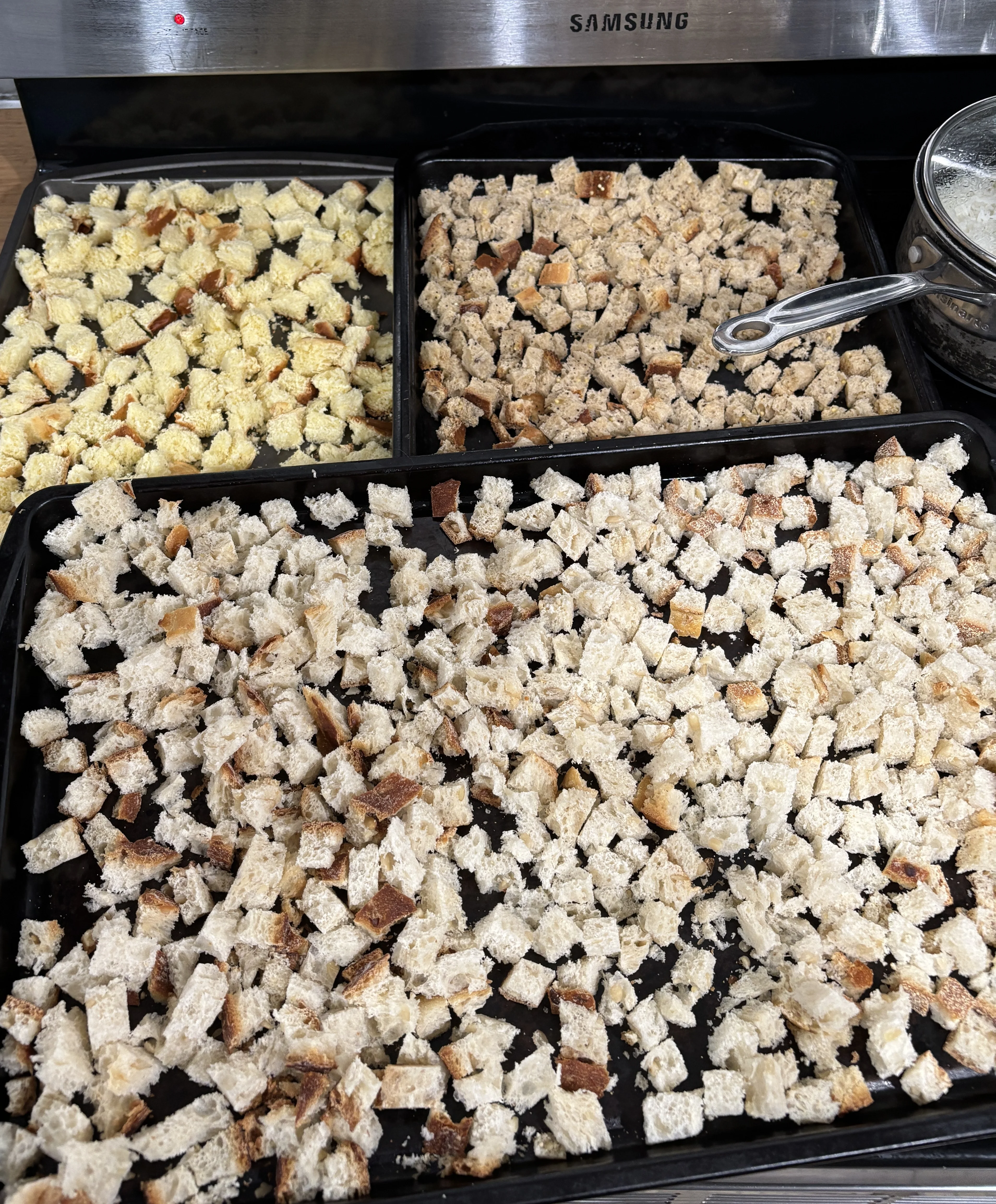 IMG_0824.webp