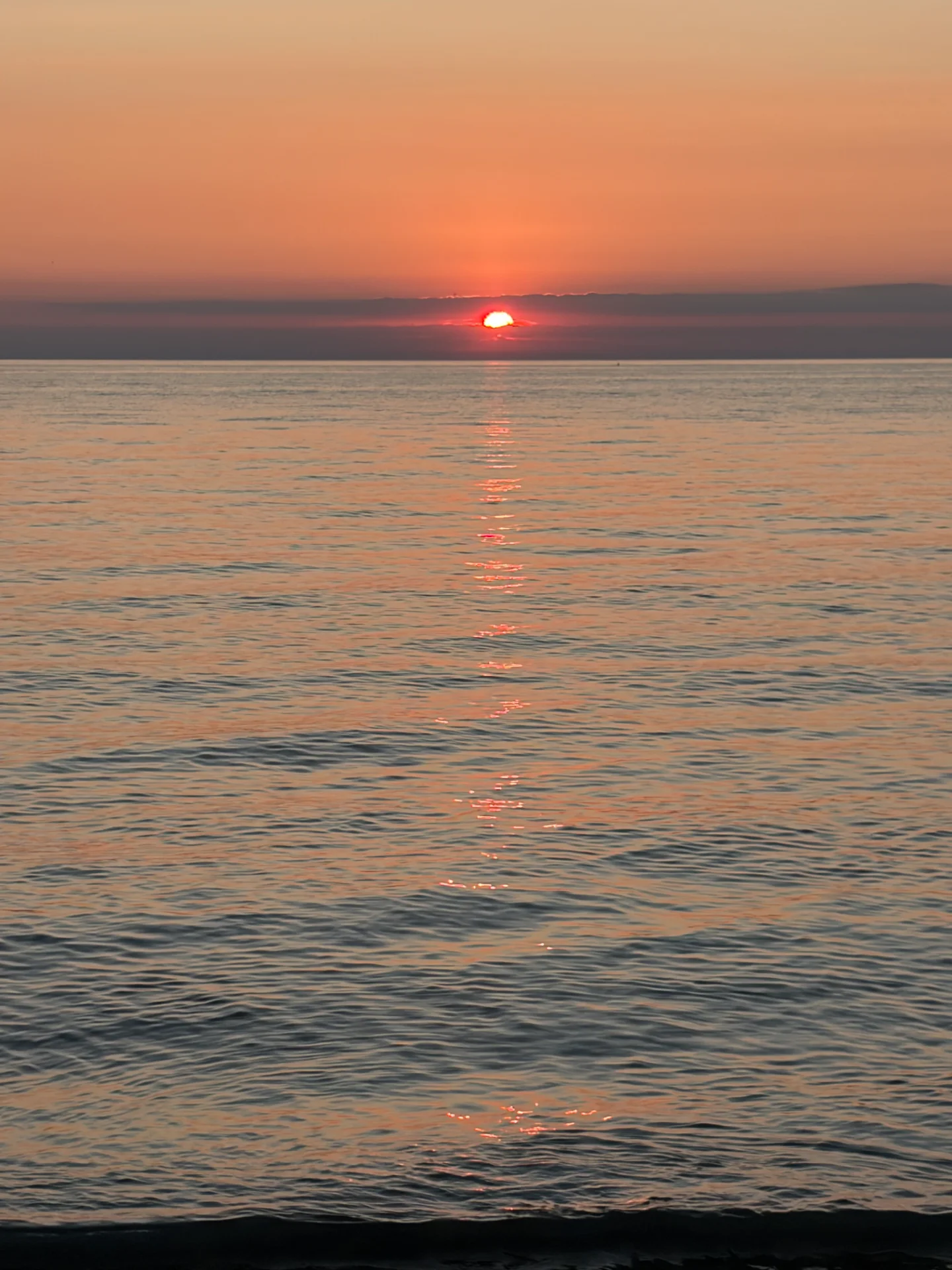 IMG_0918.webp