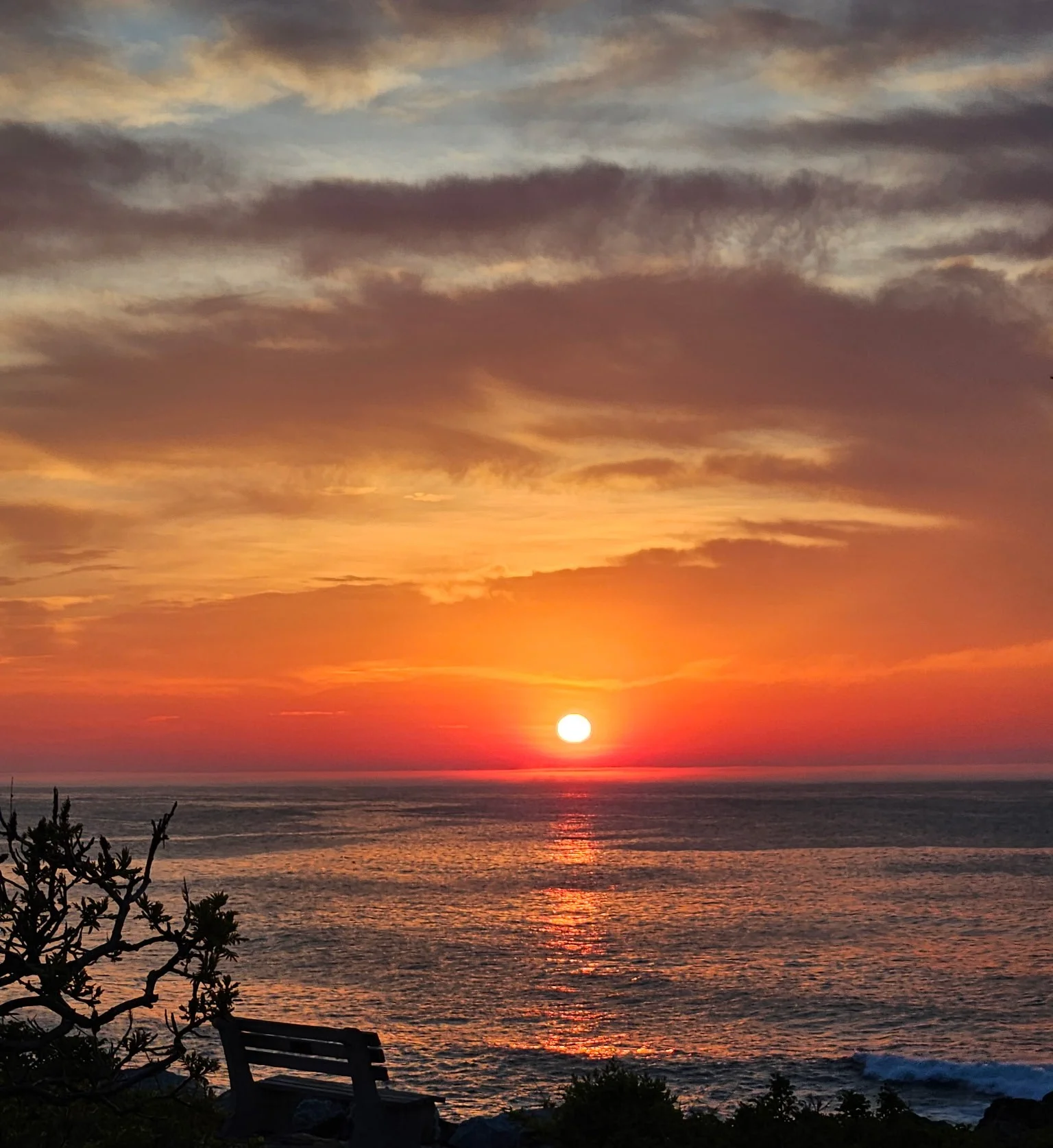 IMG_1209.webp