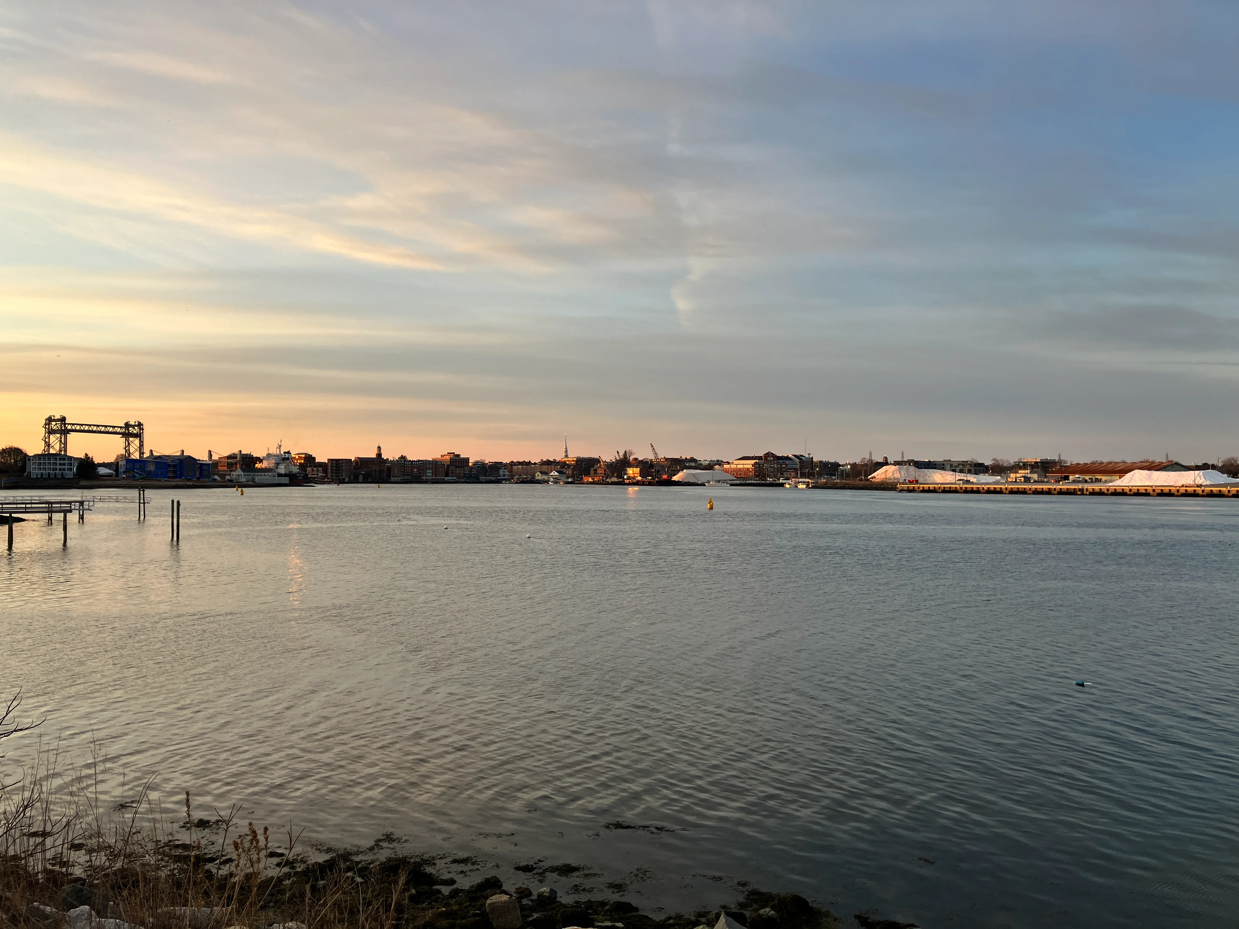 IMG_1355.webp