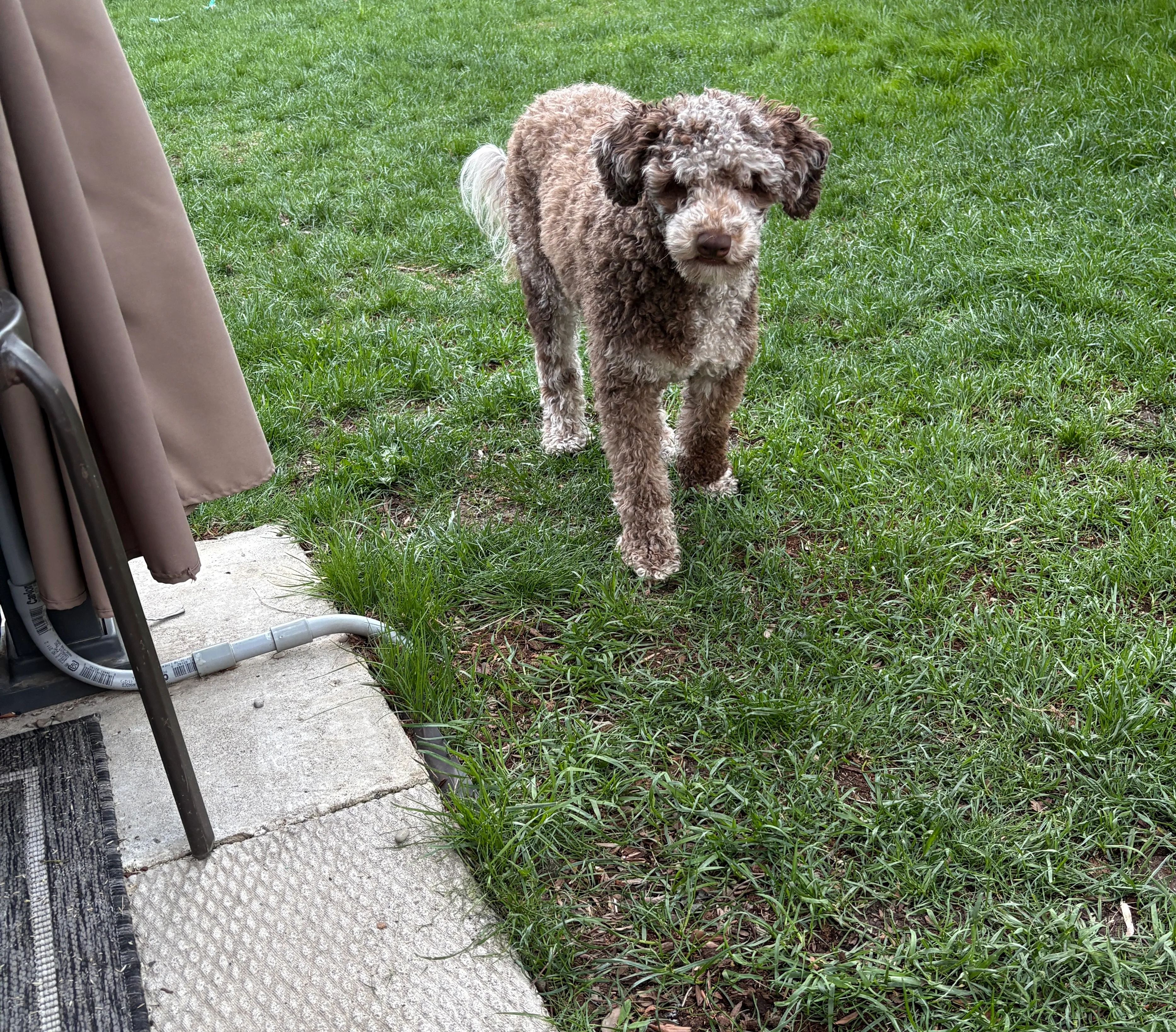 IMG_1712.webp
