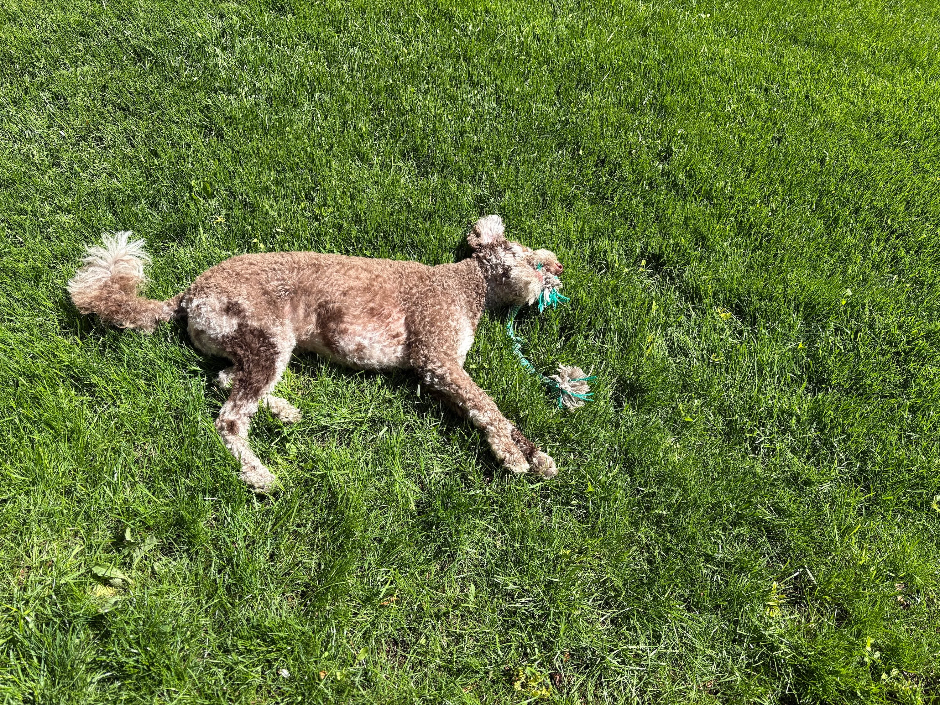 IMG_1934 (1).webp