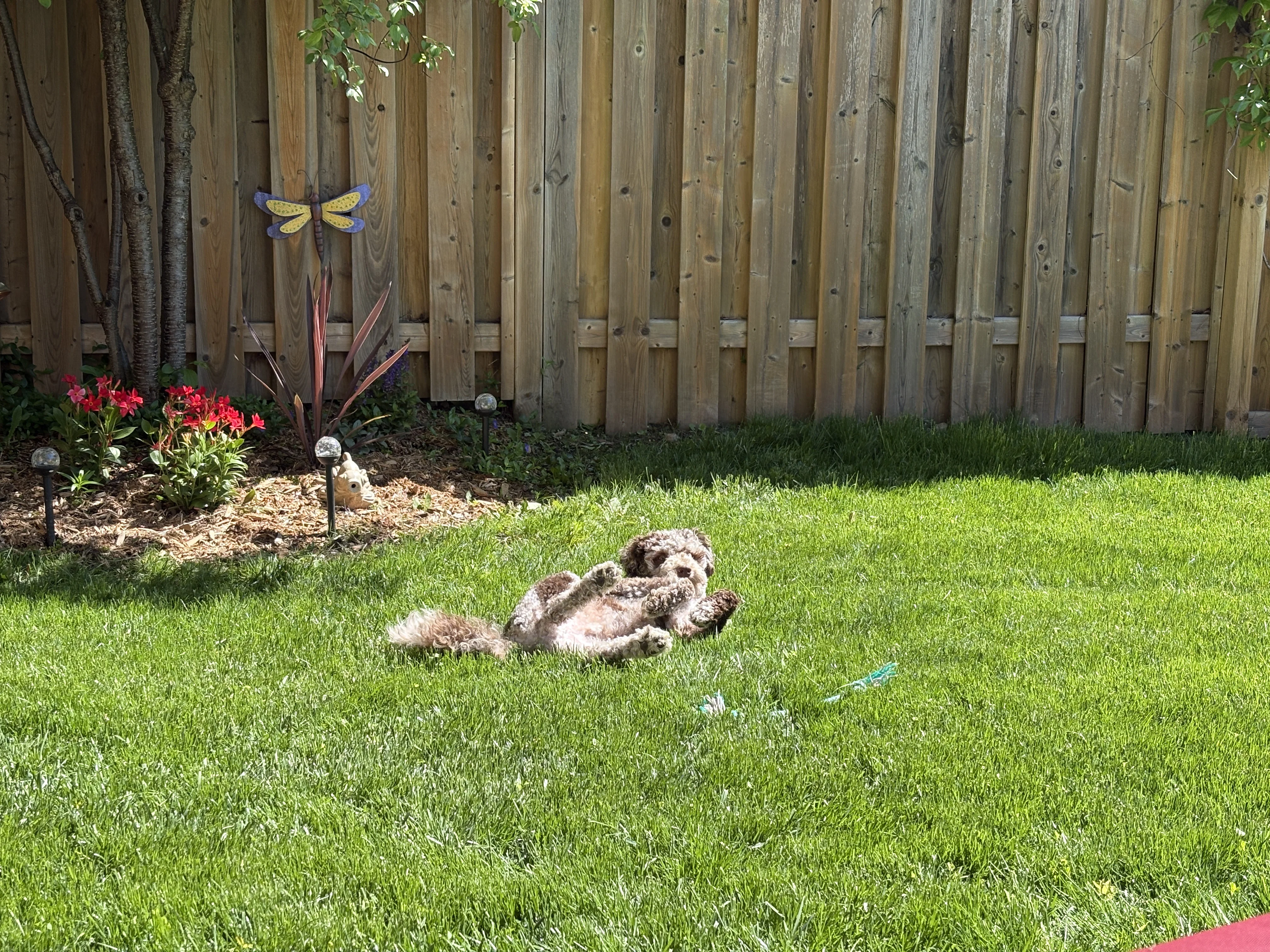 IMG_1935.webp