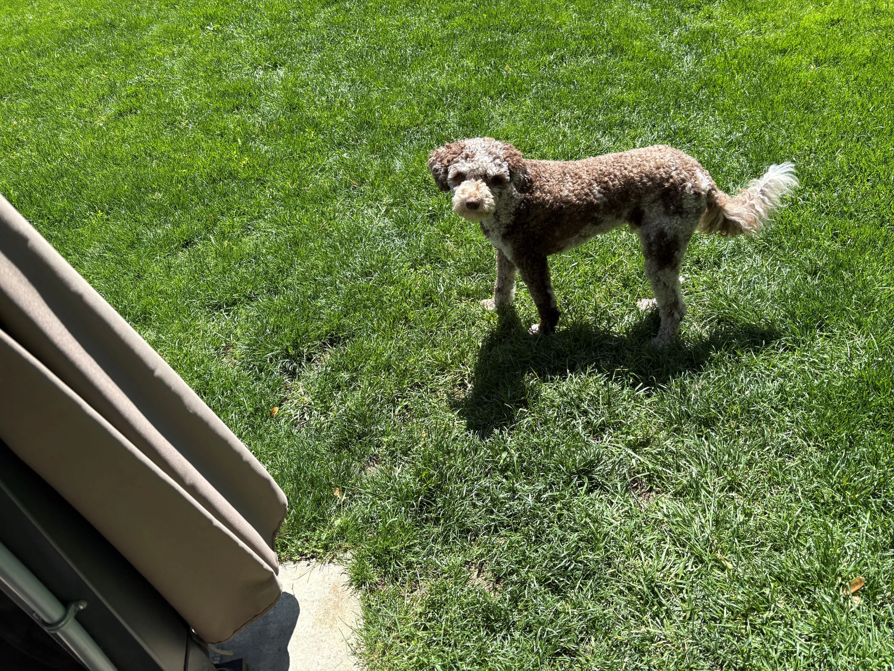 IMG_1993.webp