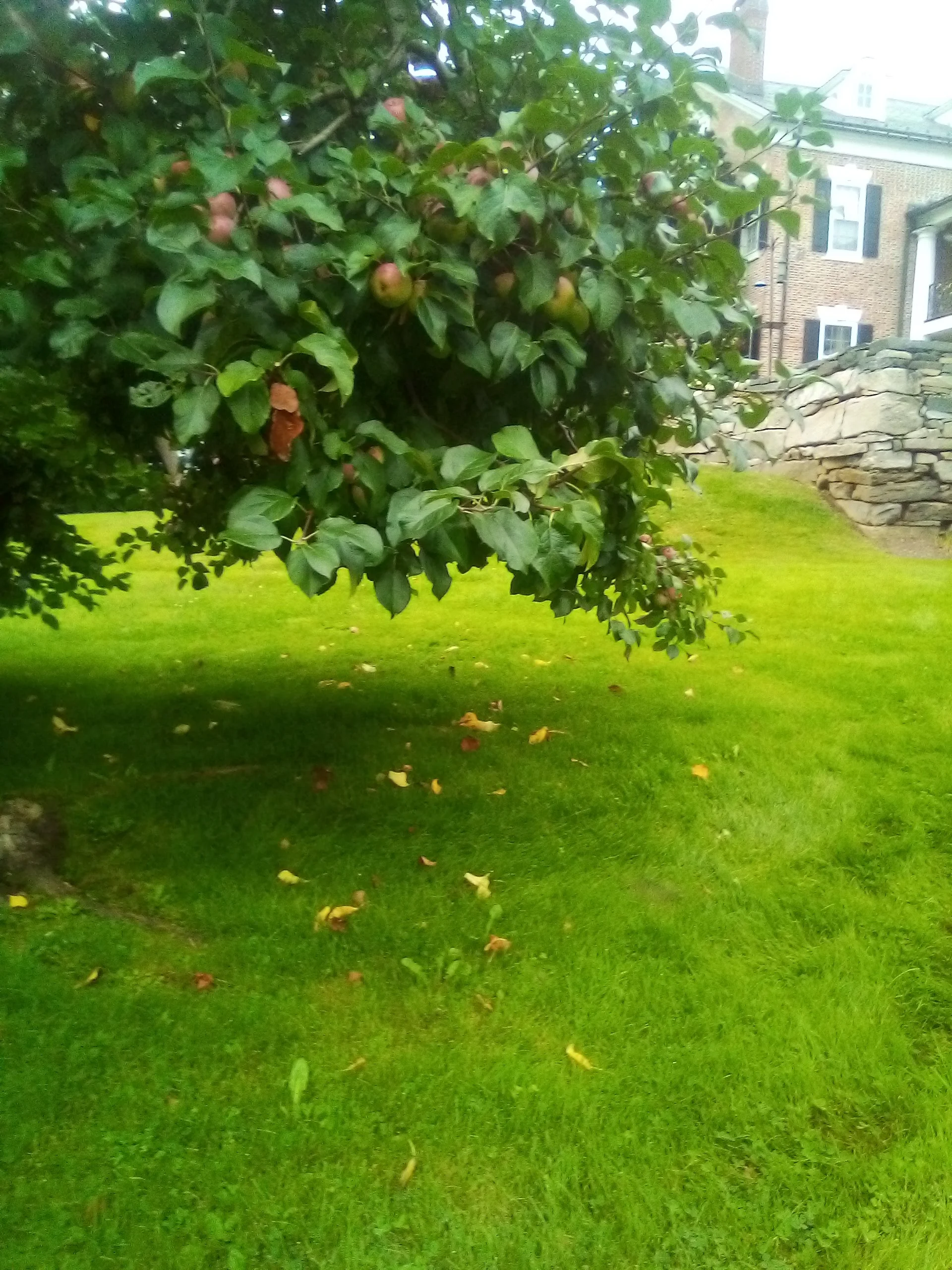 IMG_20230828_100252.webp