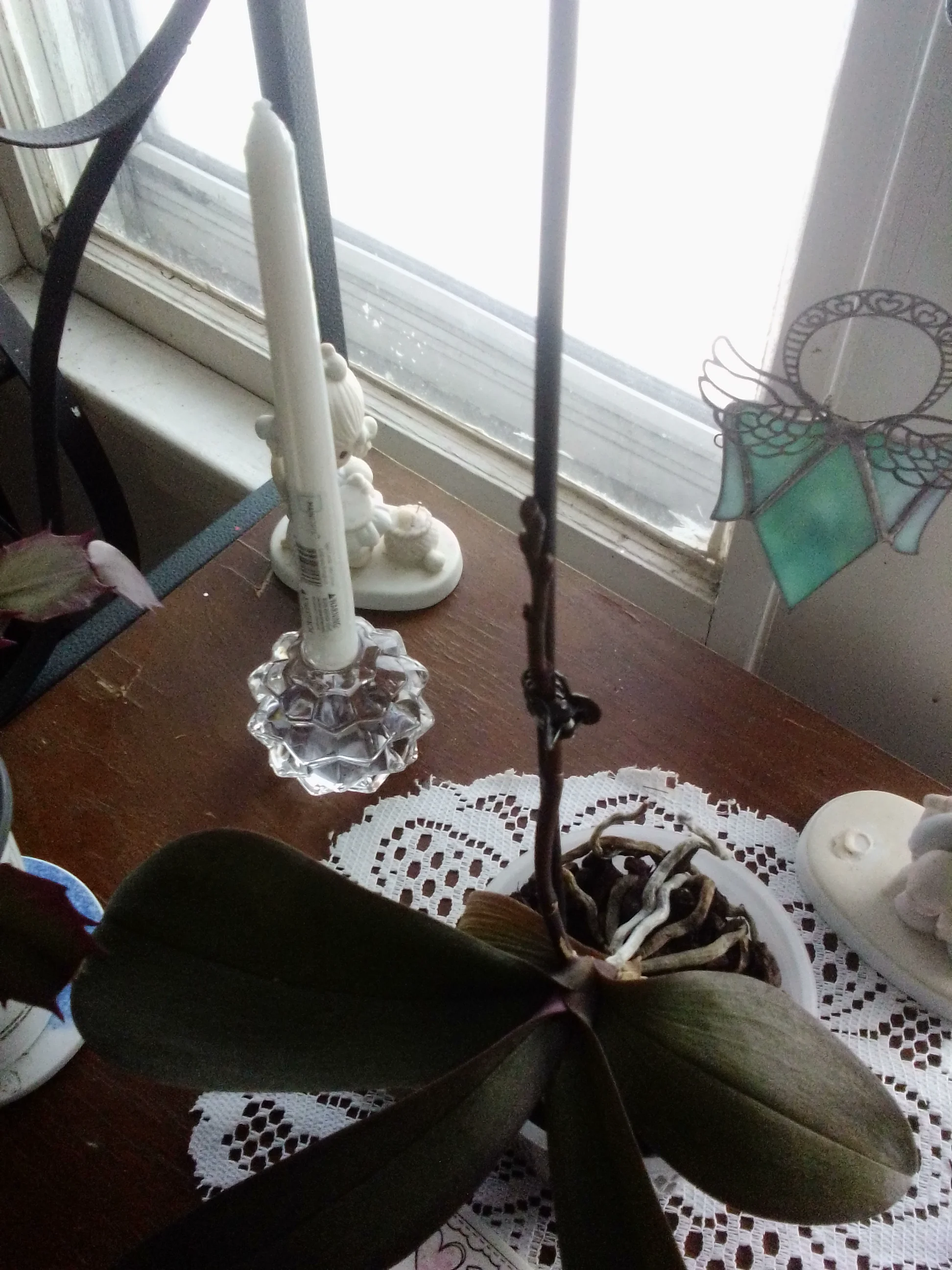 IMG_20241205_140450.webp