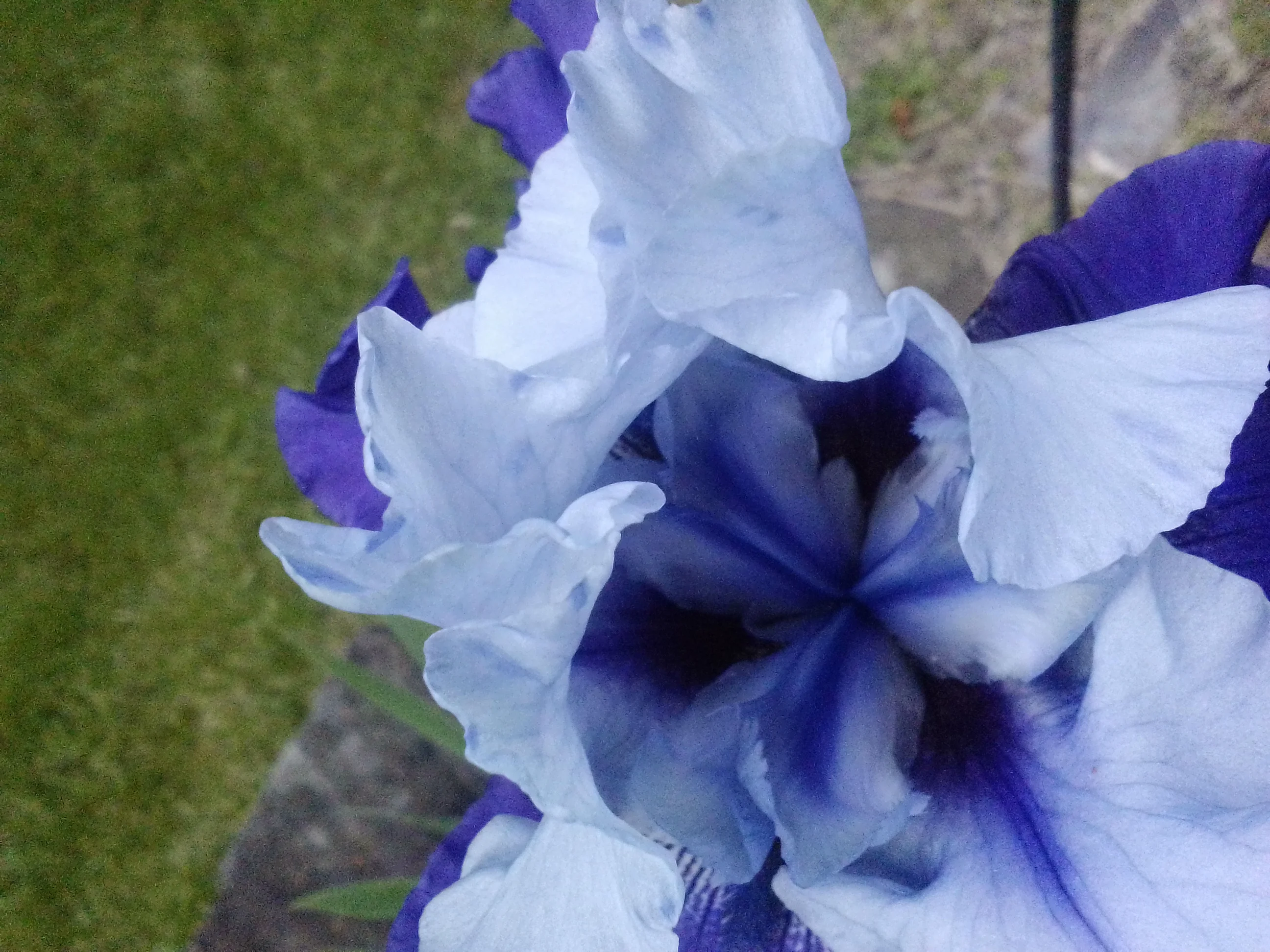 IMG_20250526_124412.webp