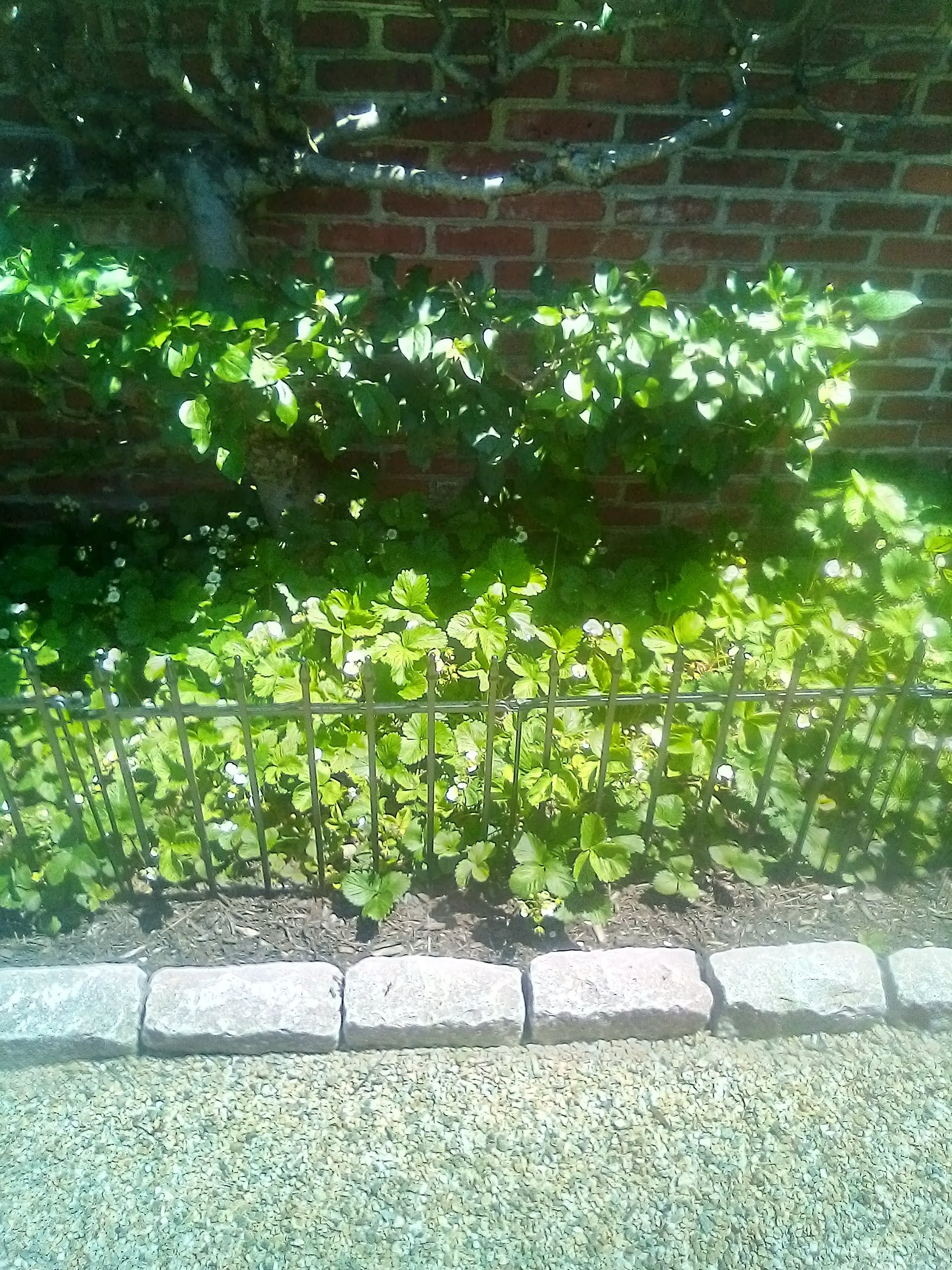 IMG_20250603_121947.webp