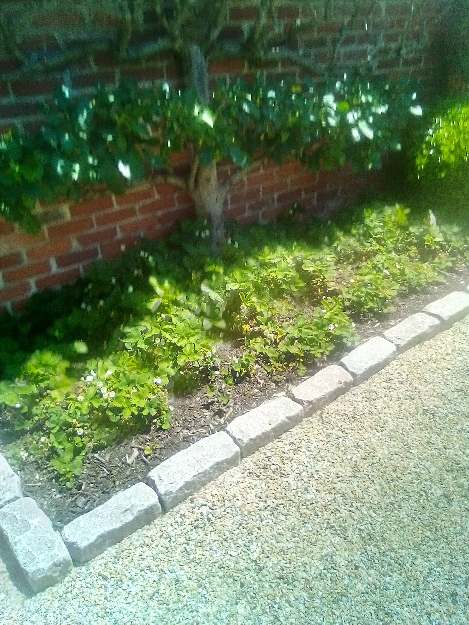 IMG_20250603_122003.webp
