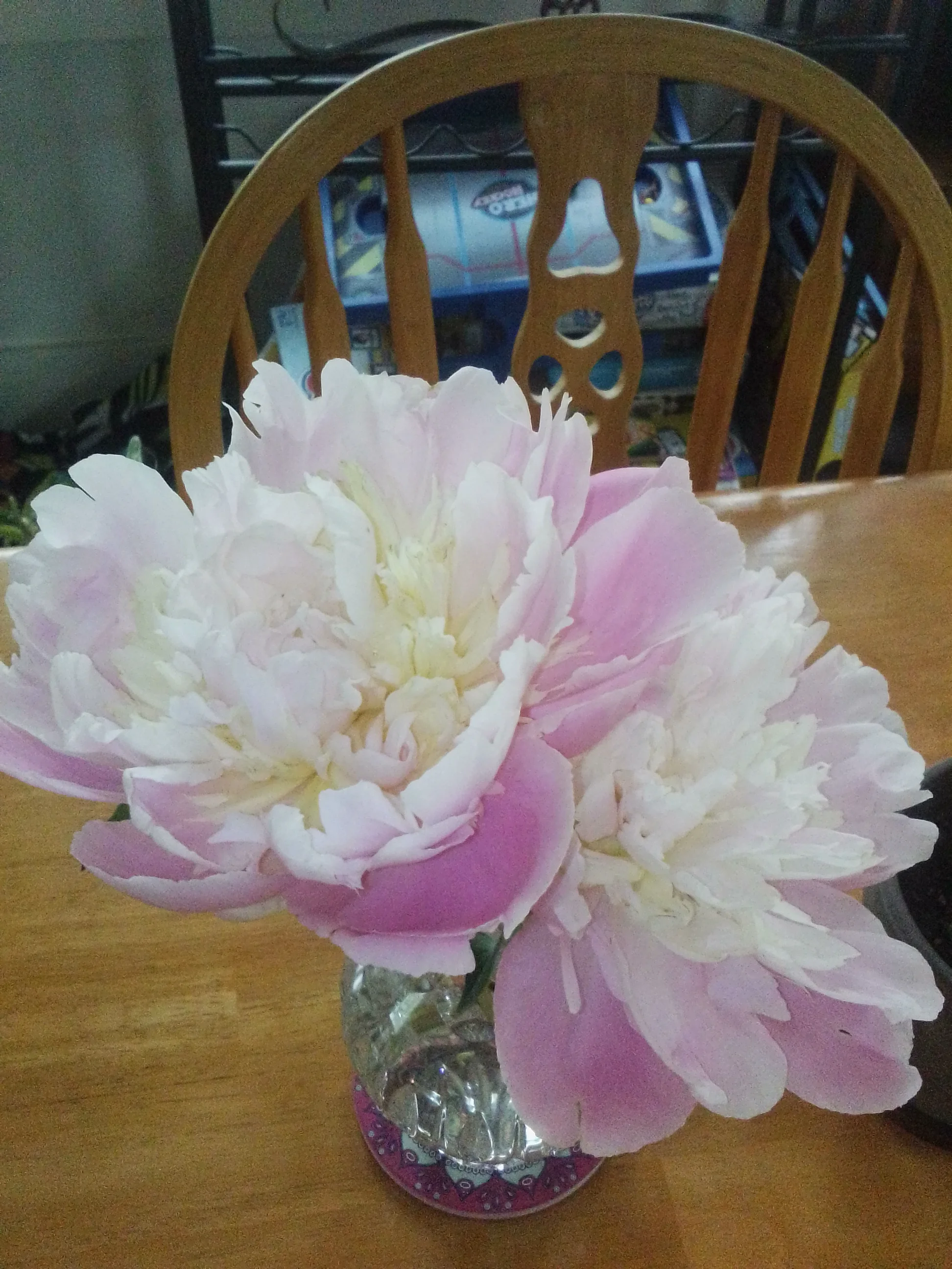 IMG_20250607_093527.webp