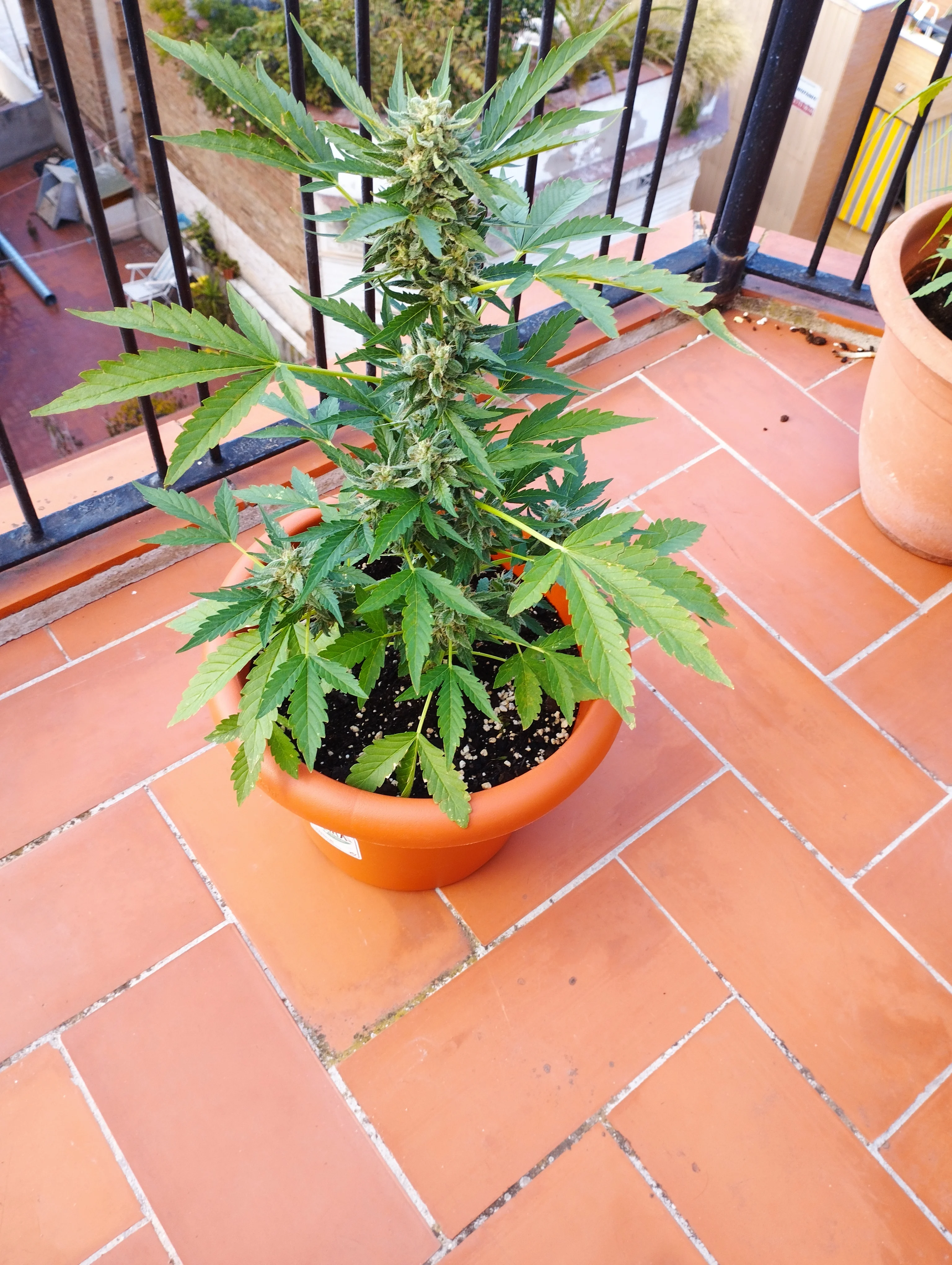 IMG_20250923_175644.webp