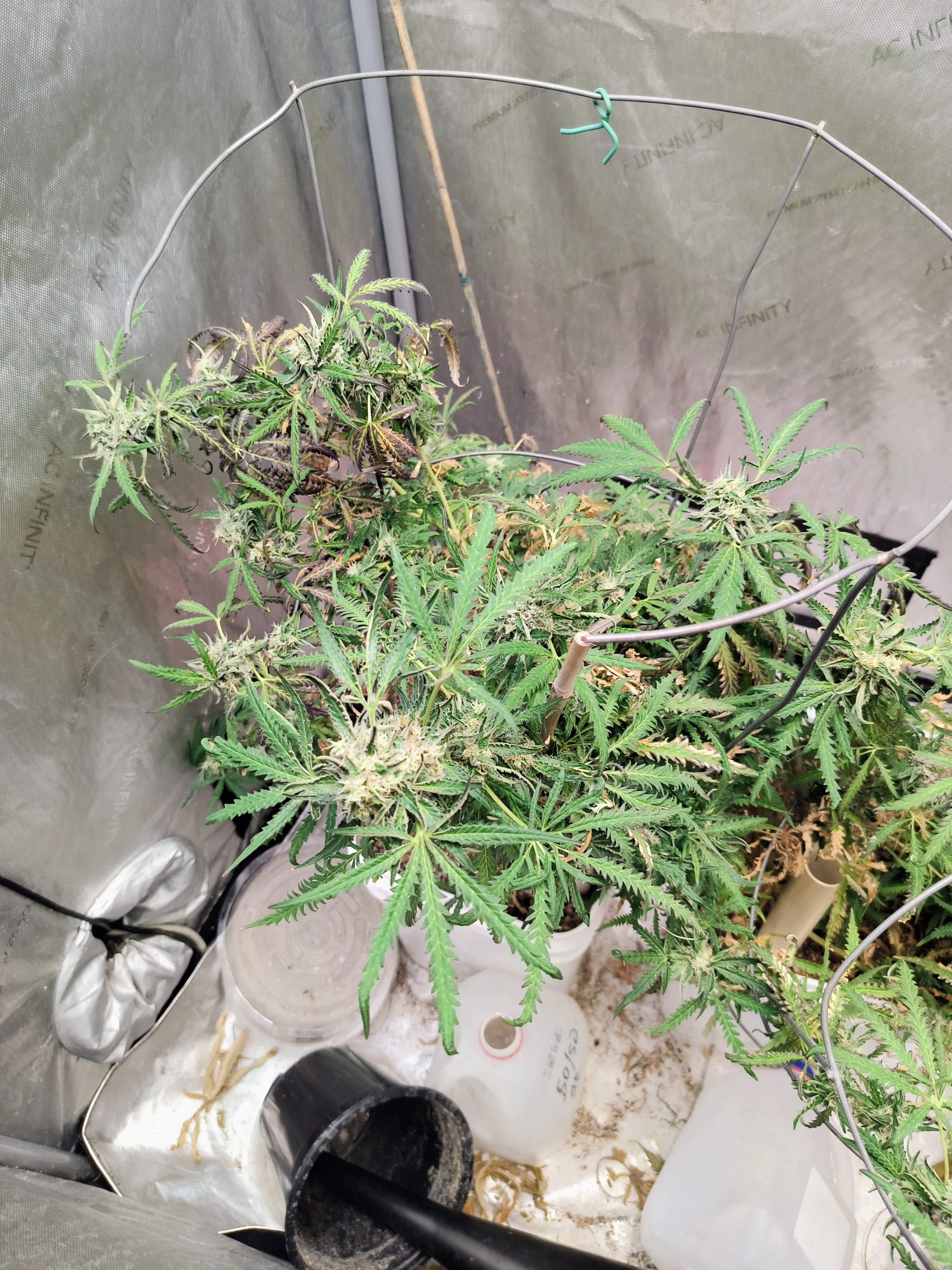 IMG_20250929_085611072.webp
