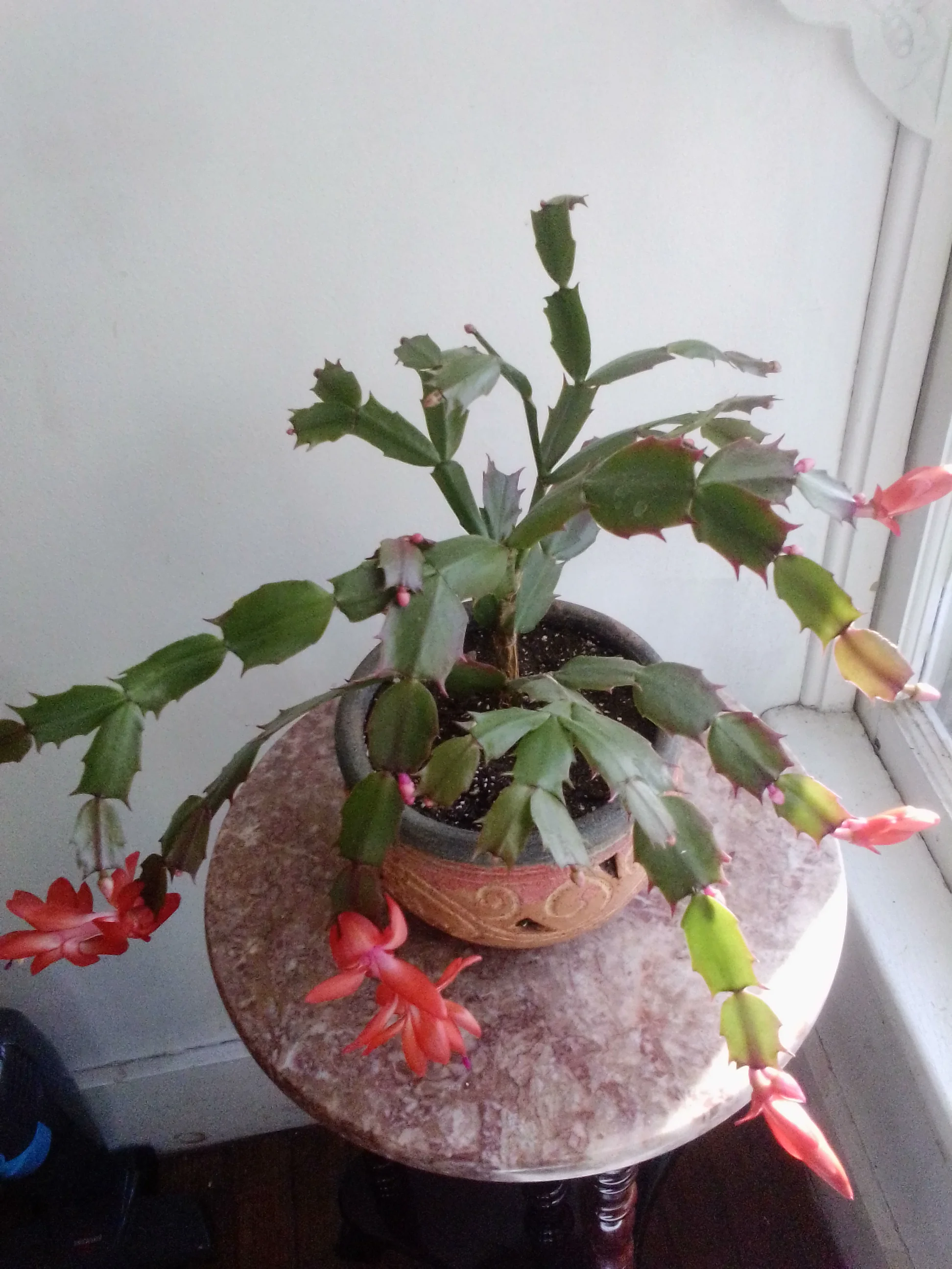 IMG_20251201_135111.webp