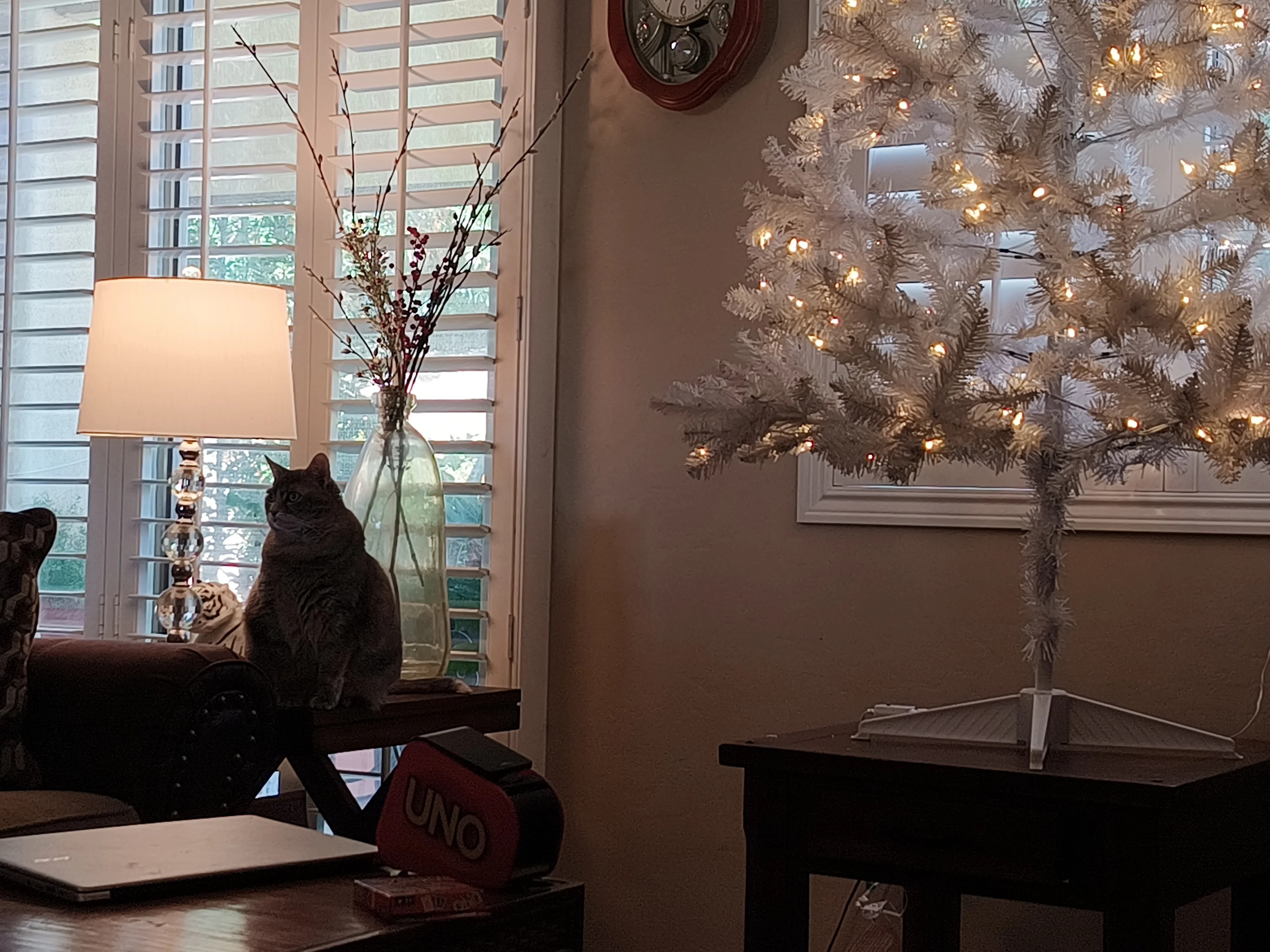 IMG_20251205_111536911.webp