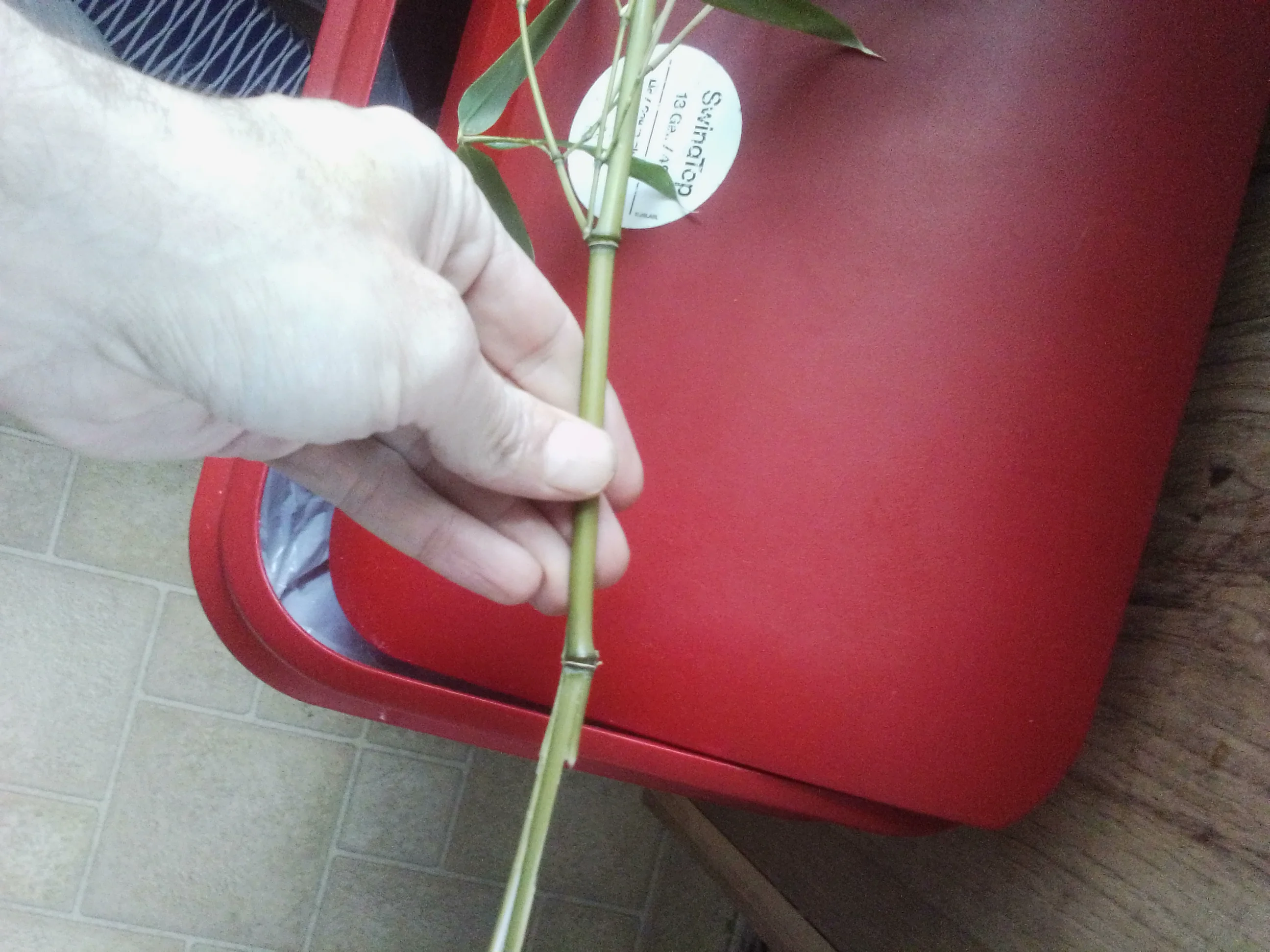 IMG_20260114_100321.webp