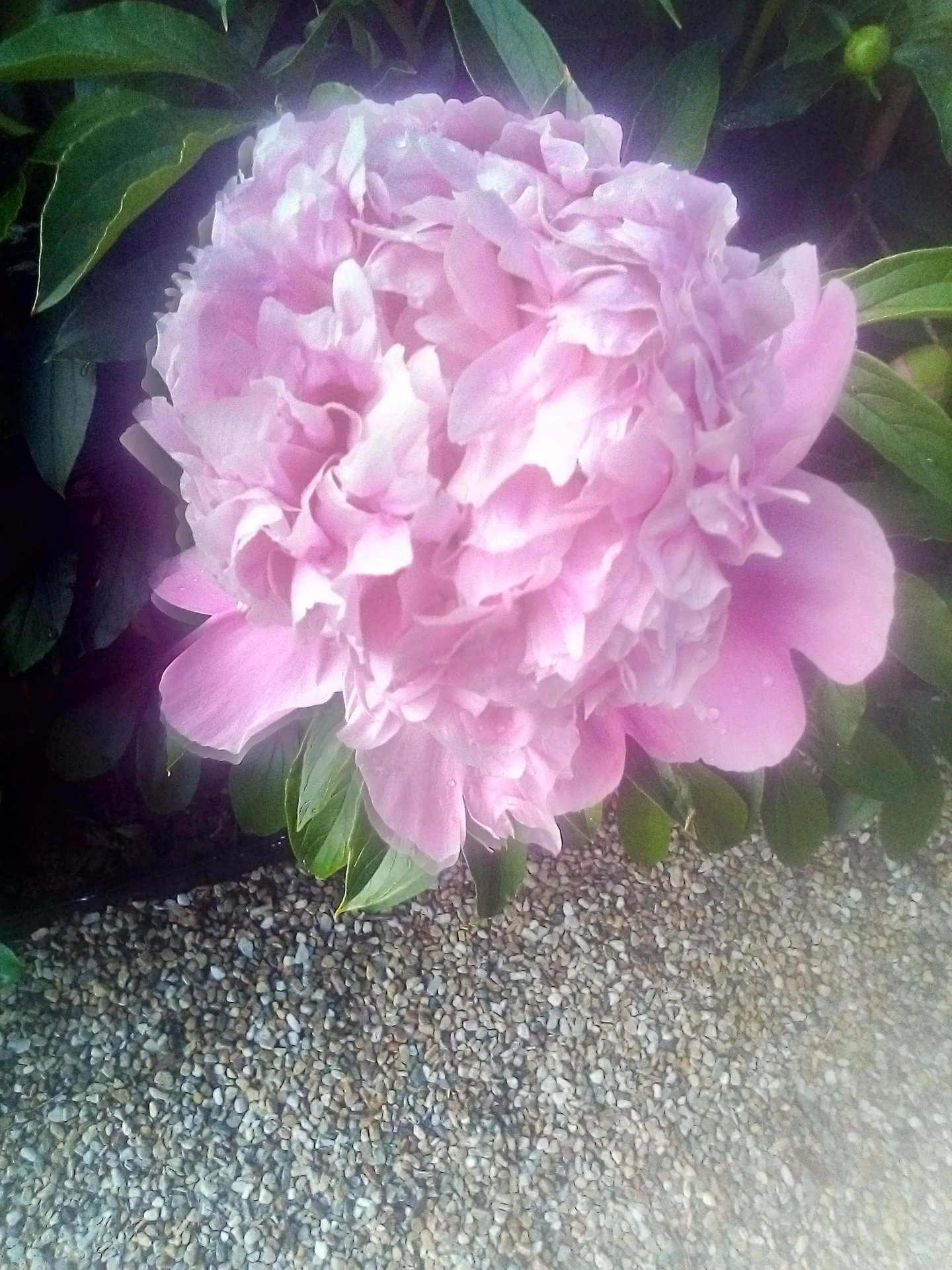 IMG_20260601_093301.webp