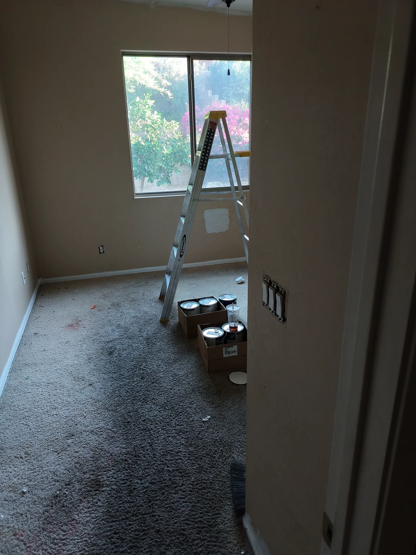 IMG_20260605_060621849.webp