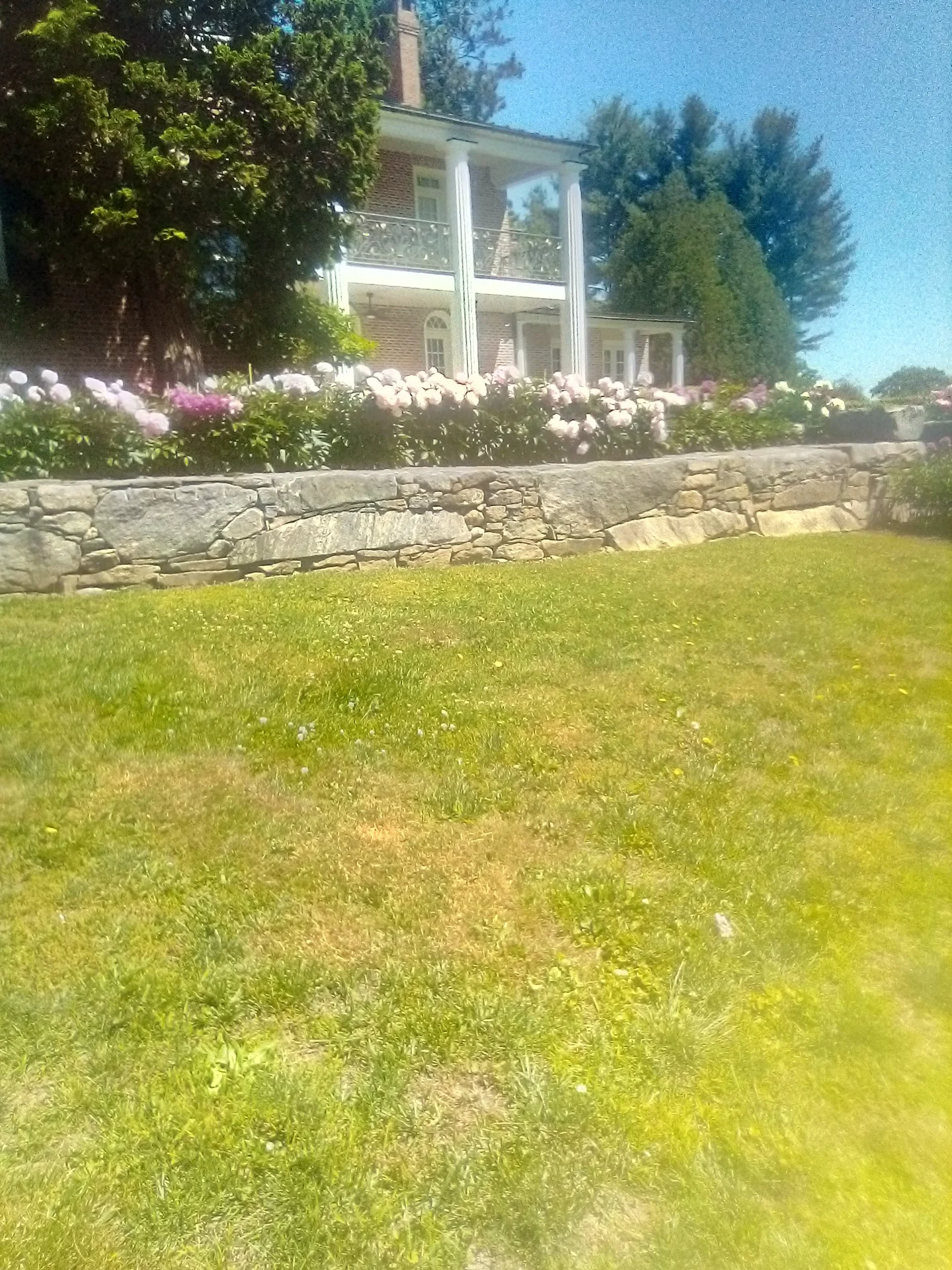 IMG_20260609_110740.webp
