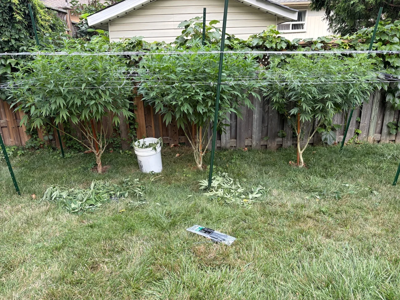 IMG_2630.webp