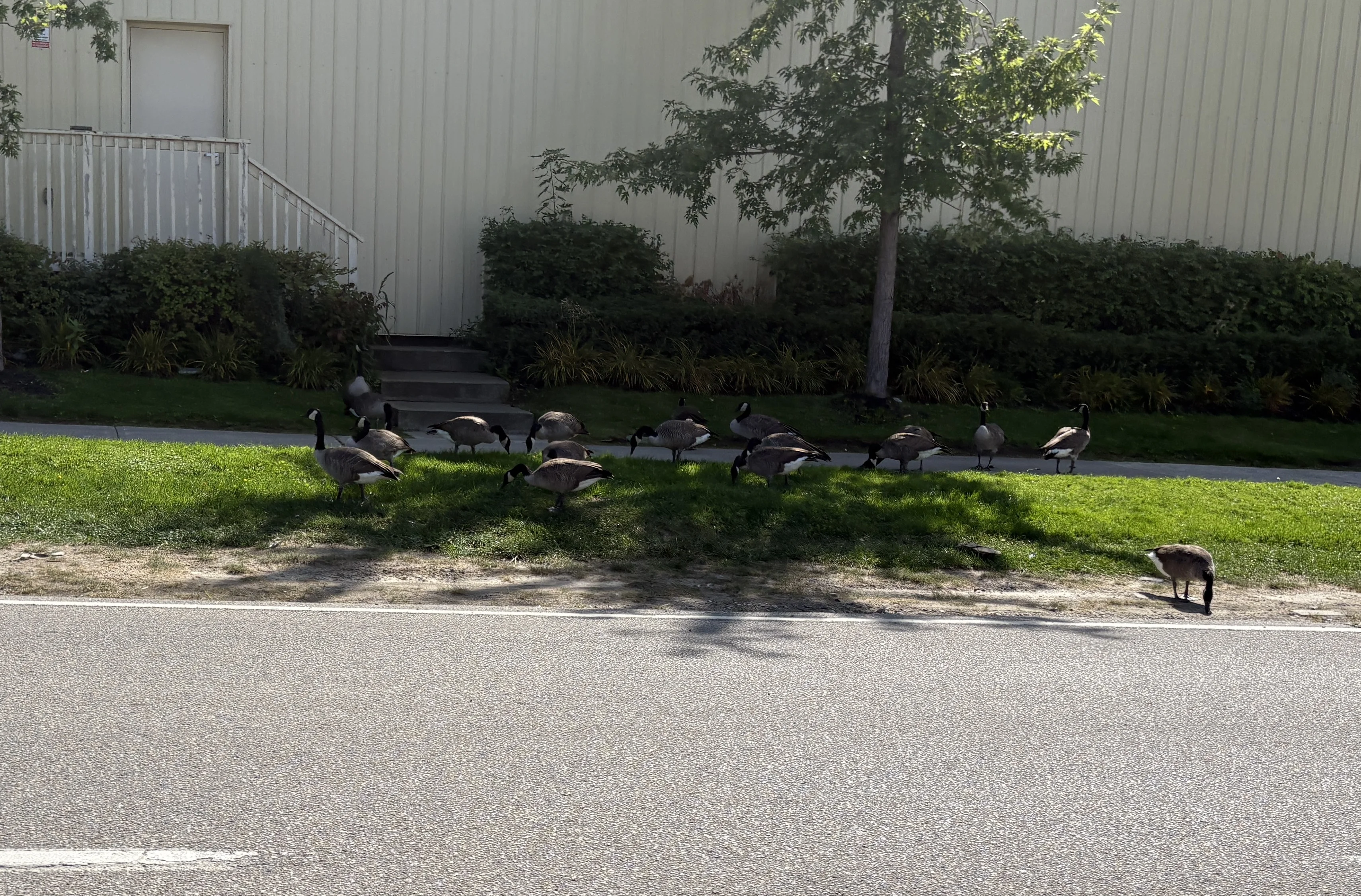 IMG_3070.webp