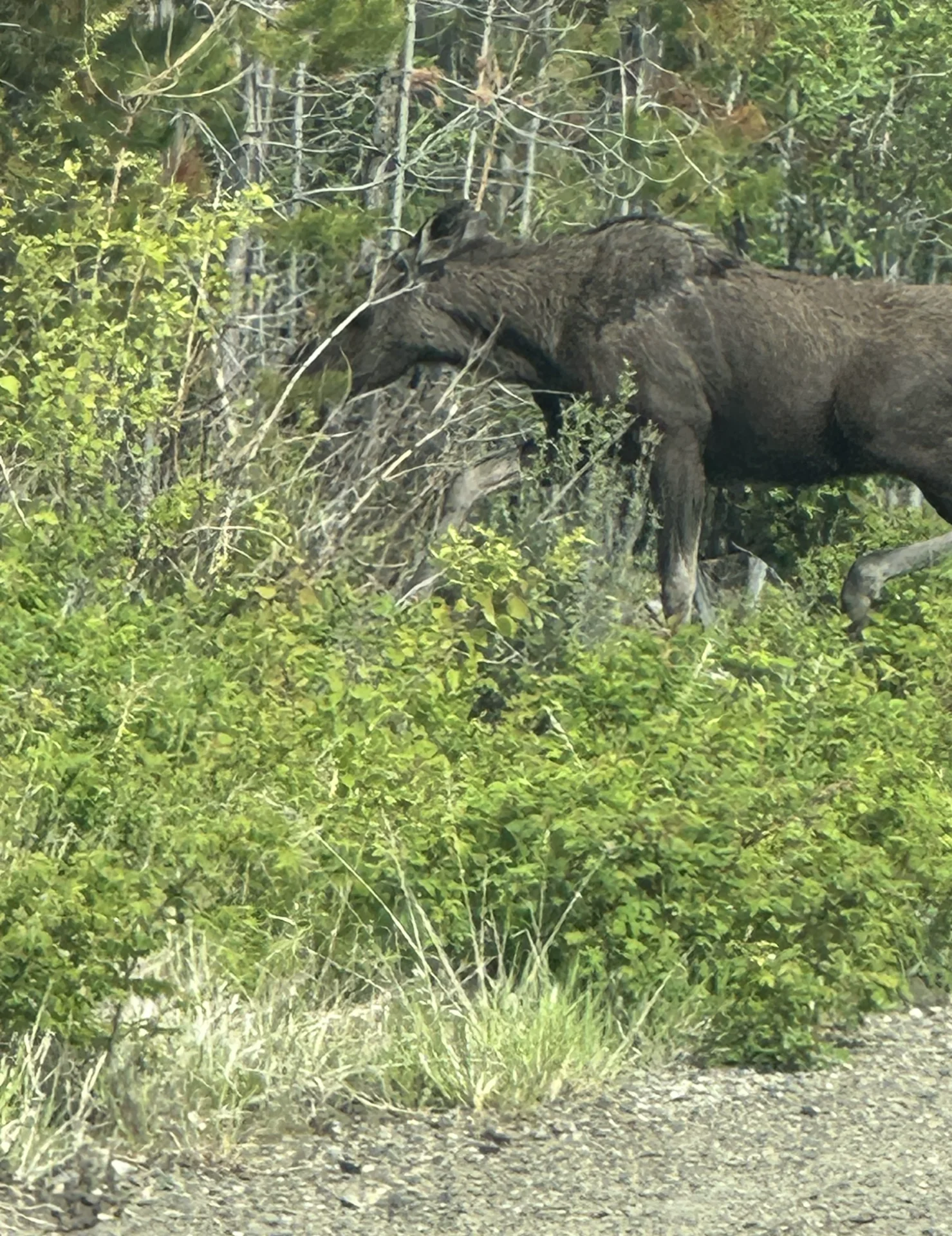 IMG_3116~2.webp