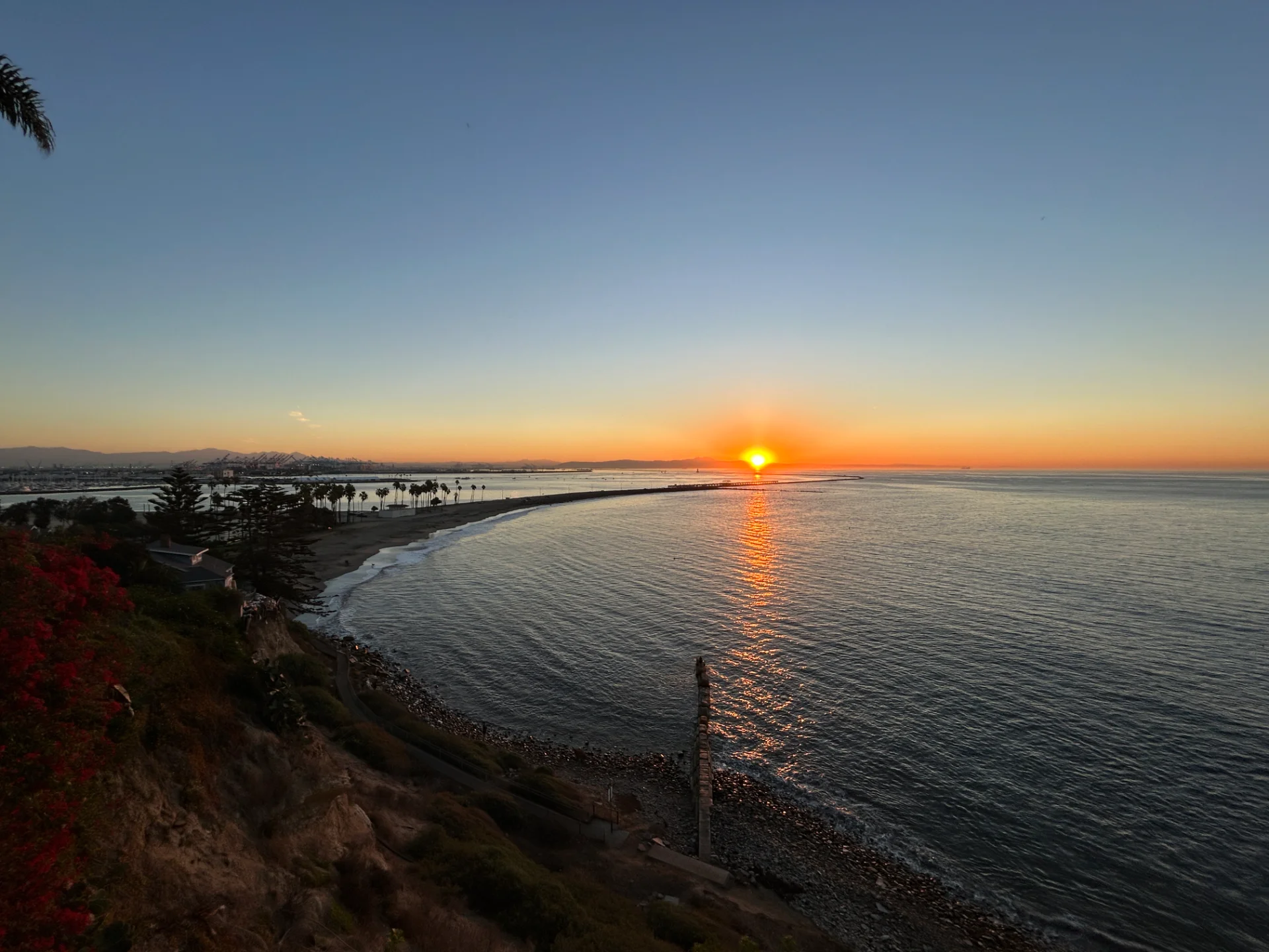 IMG_3737.webp