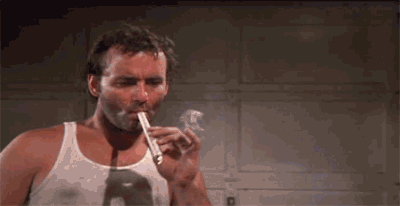 IMG_3954.gif