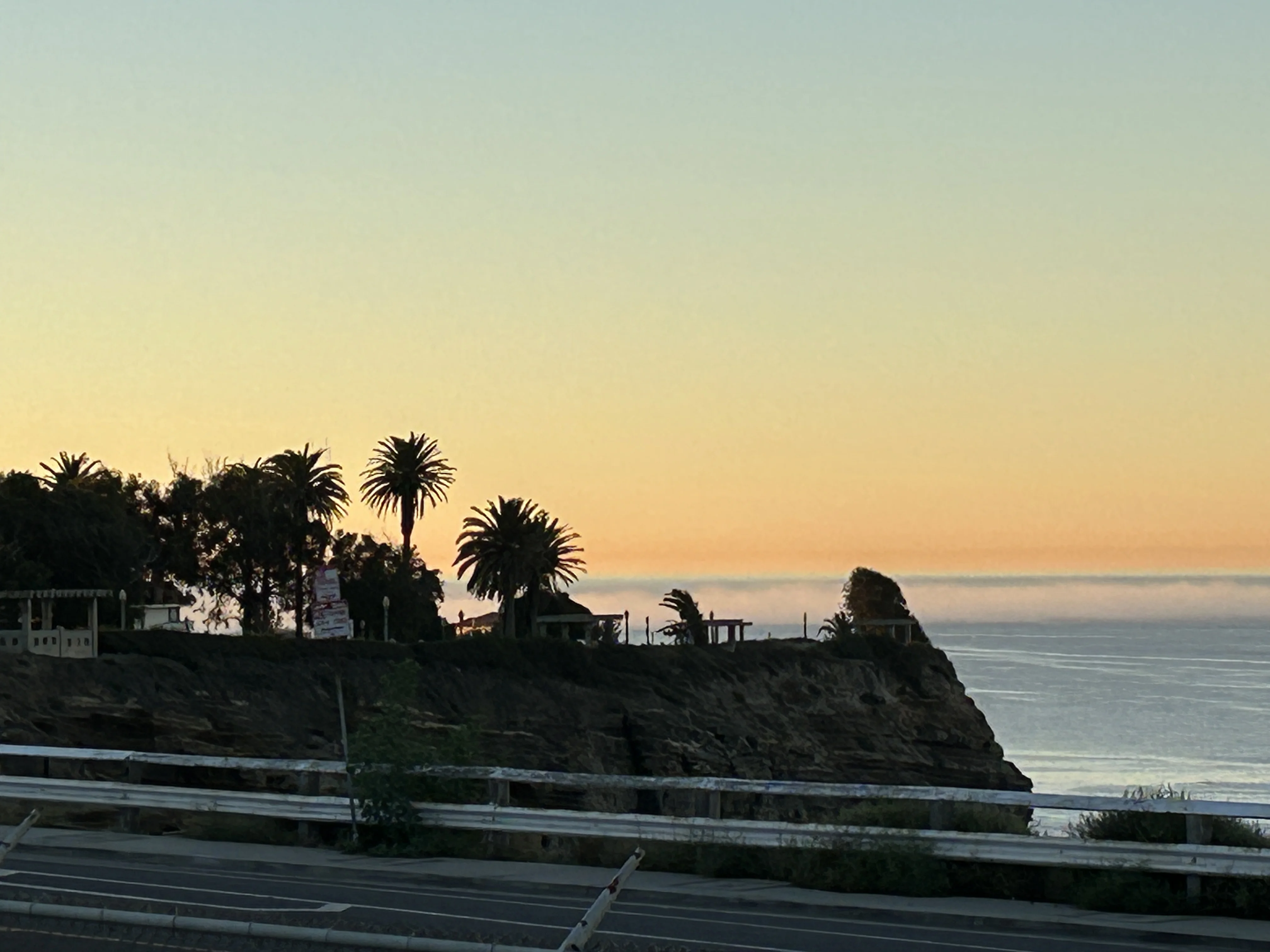 IMG_4100.webp