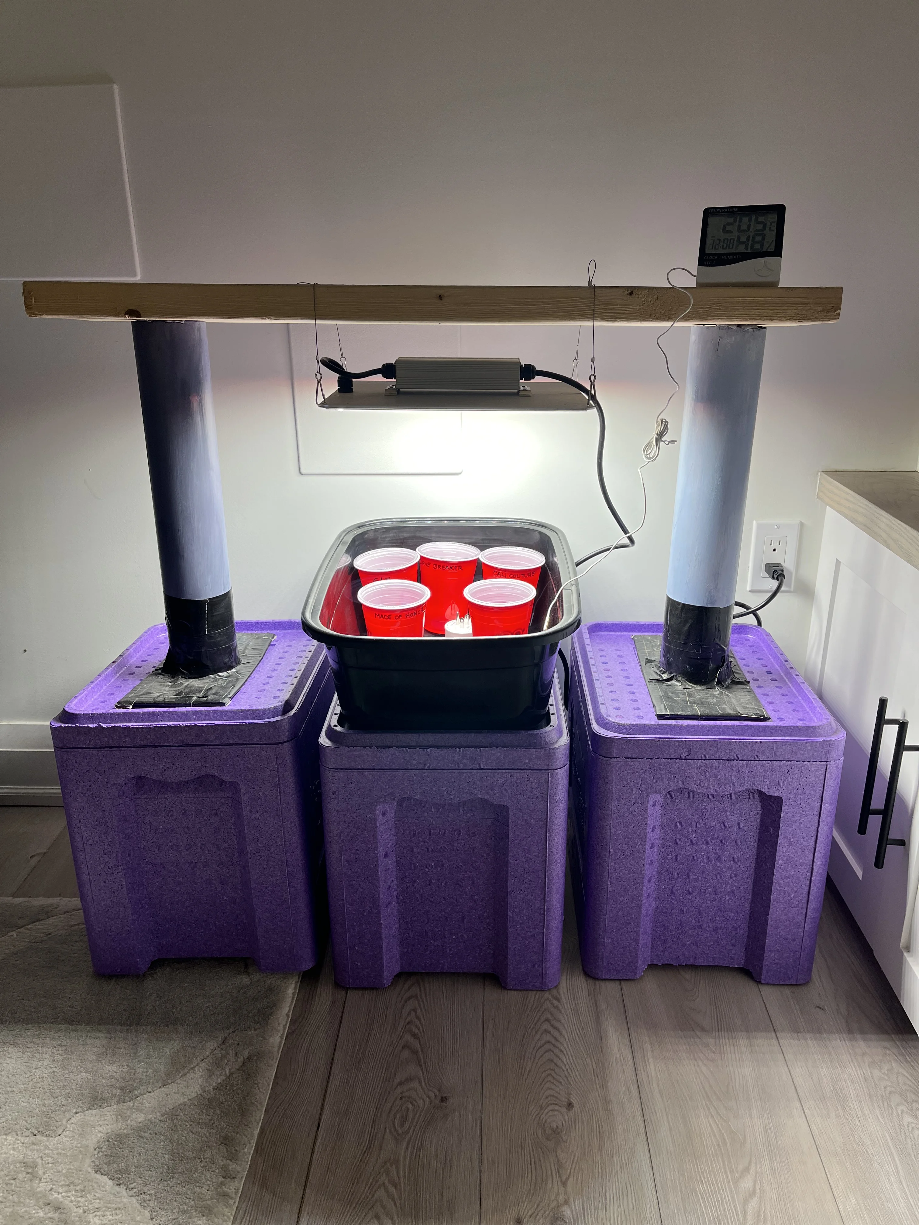IMG_6738.webp