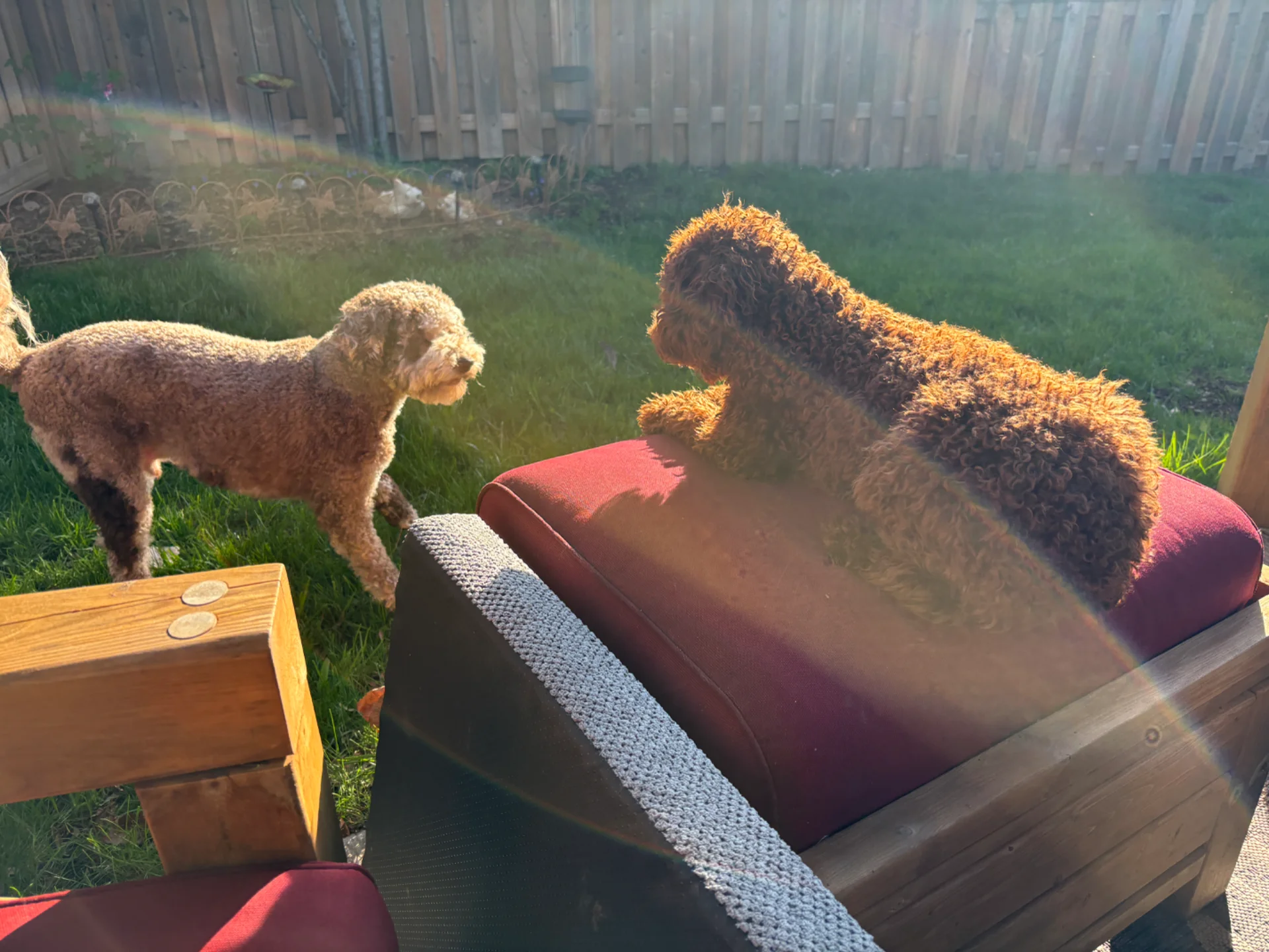 IMG_6764.webp